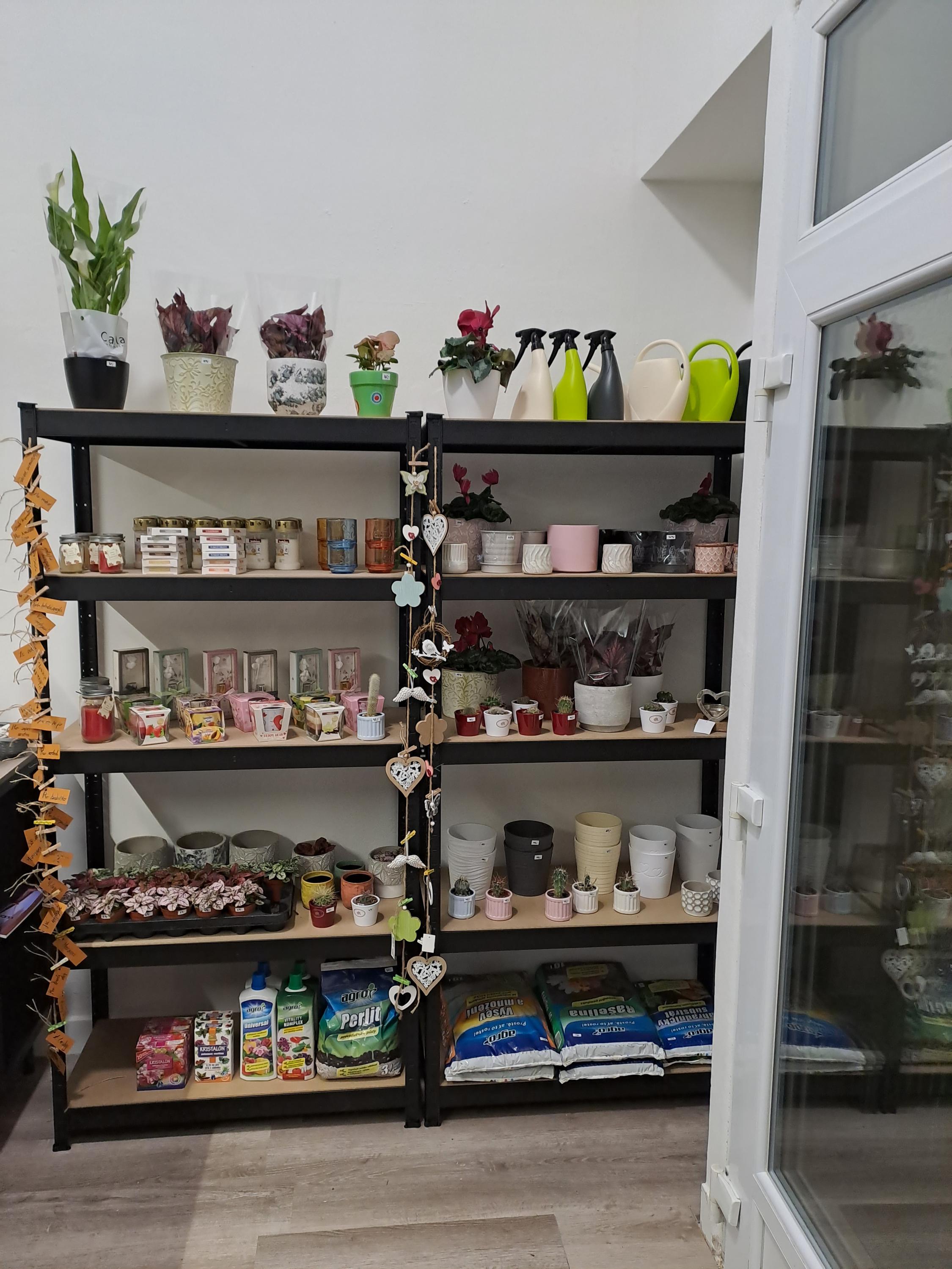 Nektárium foto 6
