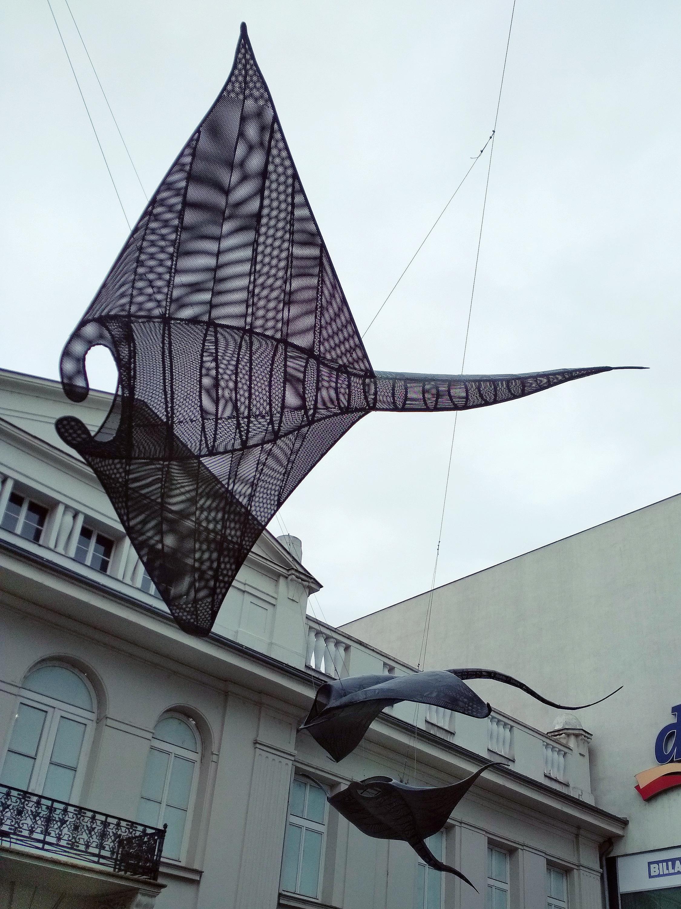 CineStar Pardubice foto 5