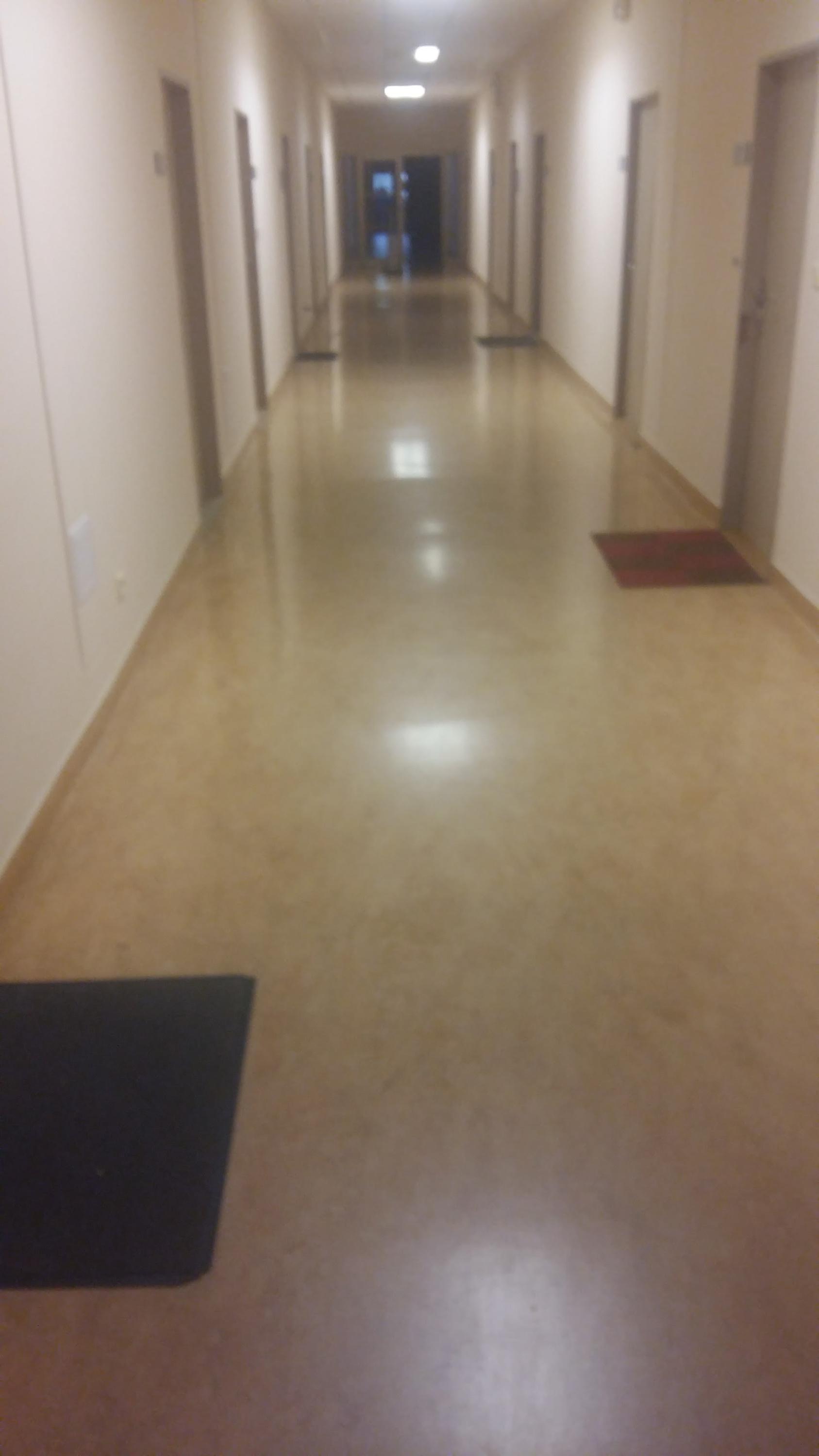 Úklidové služby Buriánek foto 4