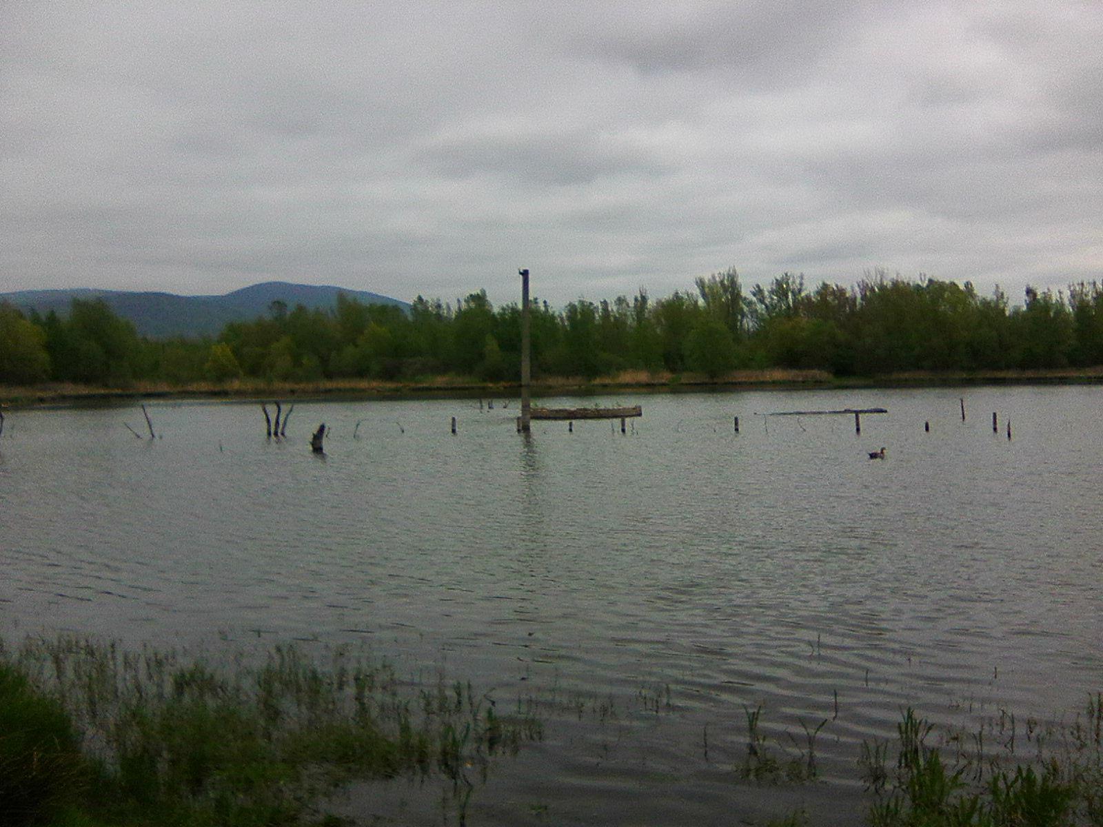 Přírodní koupaliště Mariánské Radčice