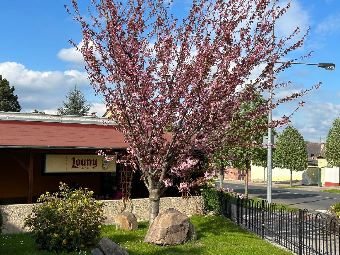 NA KROUŽKU - Krizden