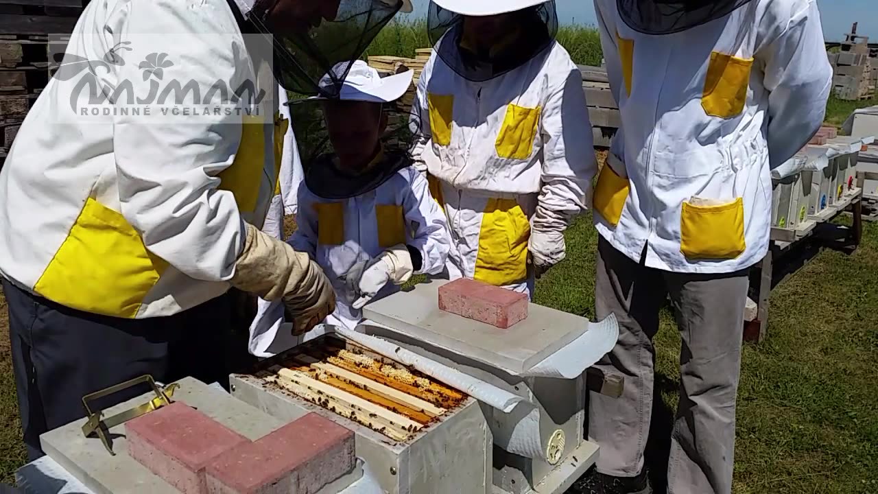 Rodinné včelařství Najman Stanislav foto 2 (náhled videa)