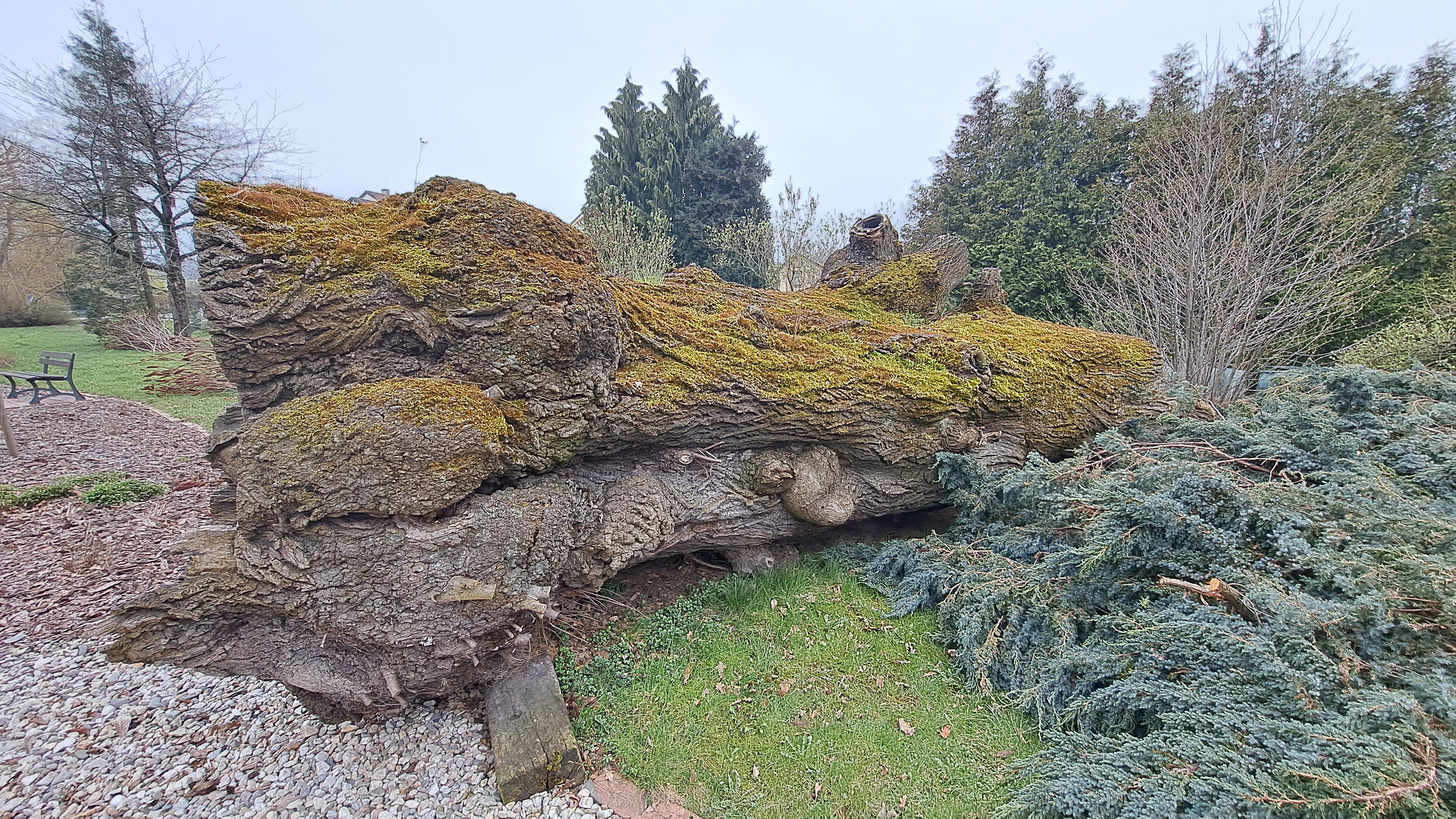 Raškovice - obecní úřad foto 5