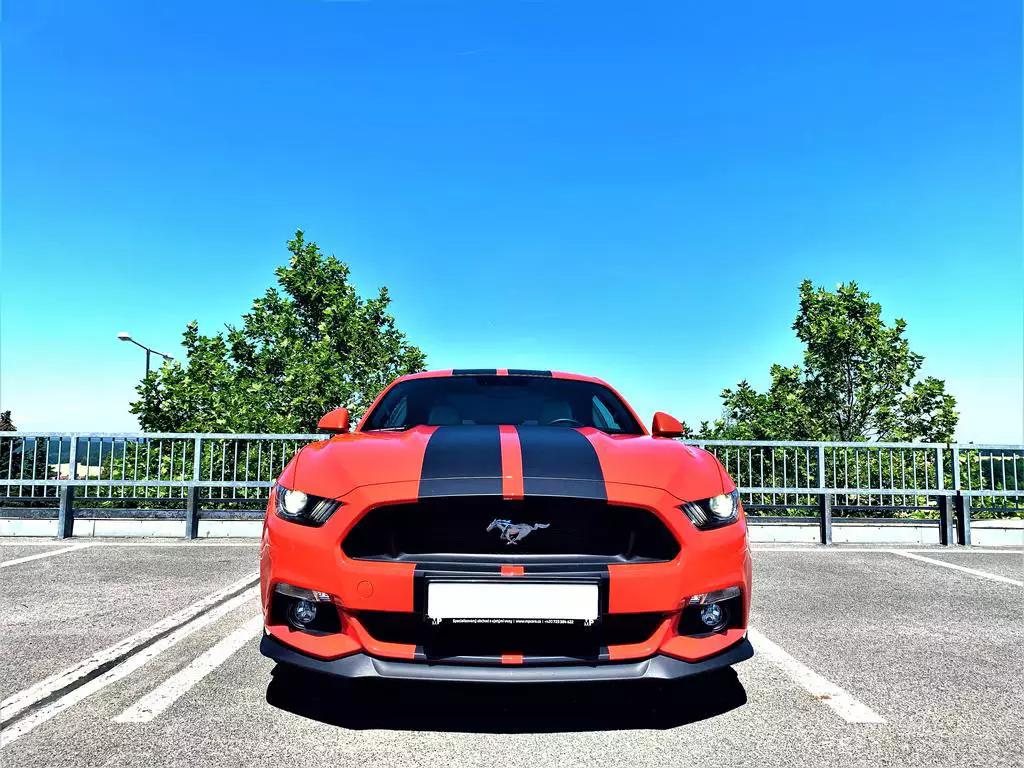 EasyHomes rentals - půjčovna luxusních automobilů foto 5