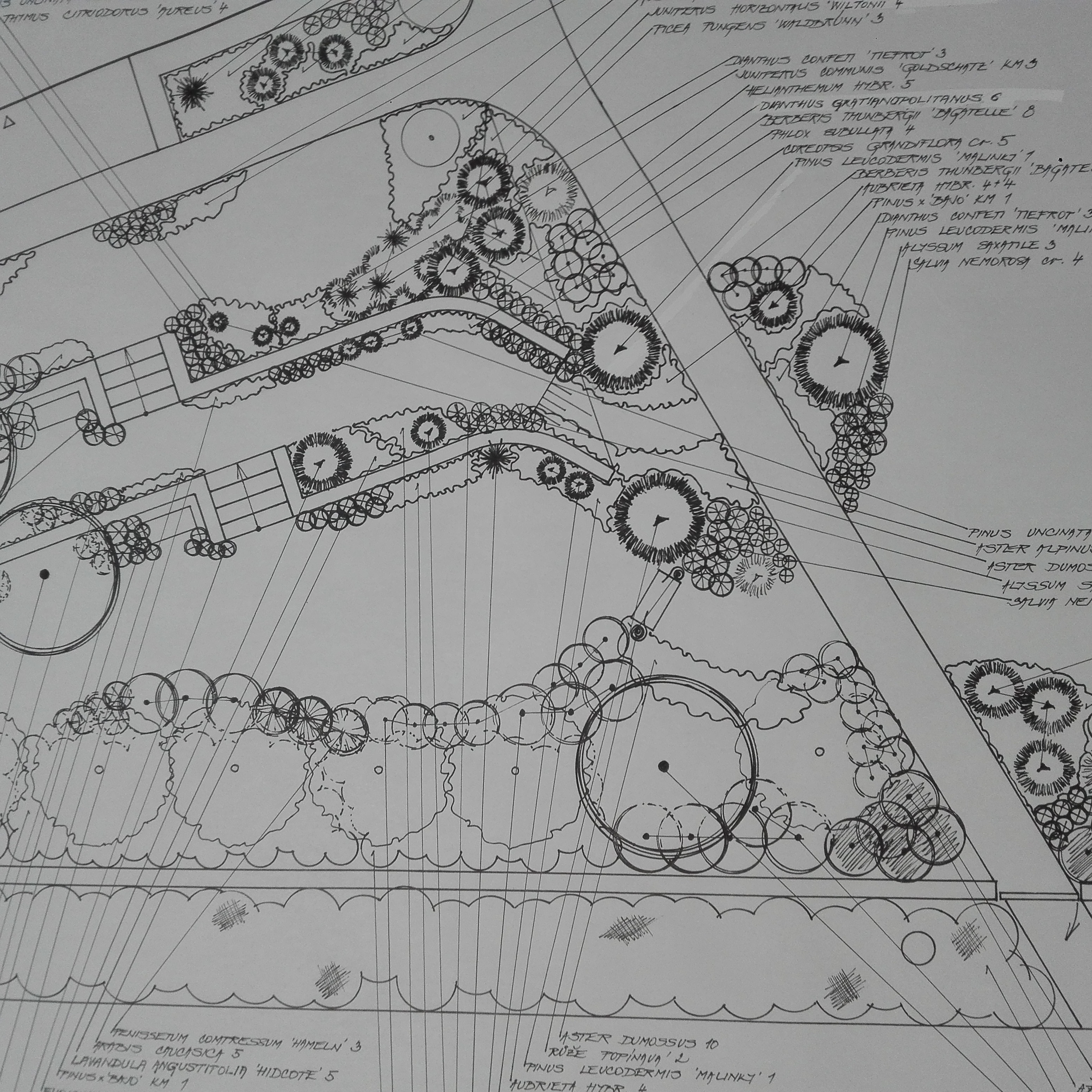 Návrh okrasné zahrady