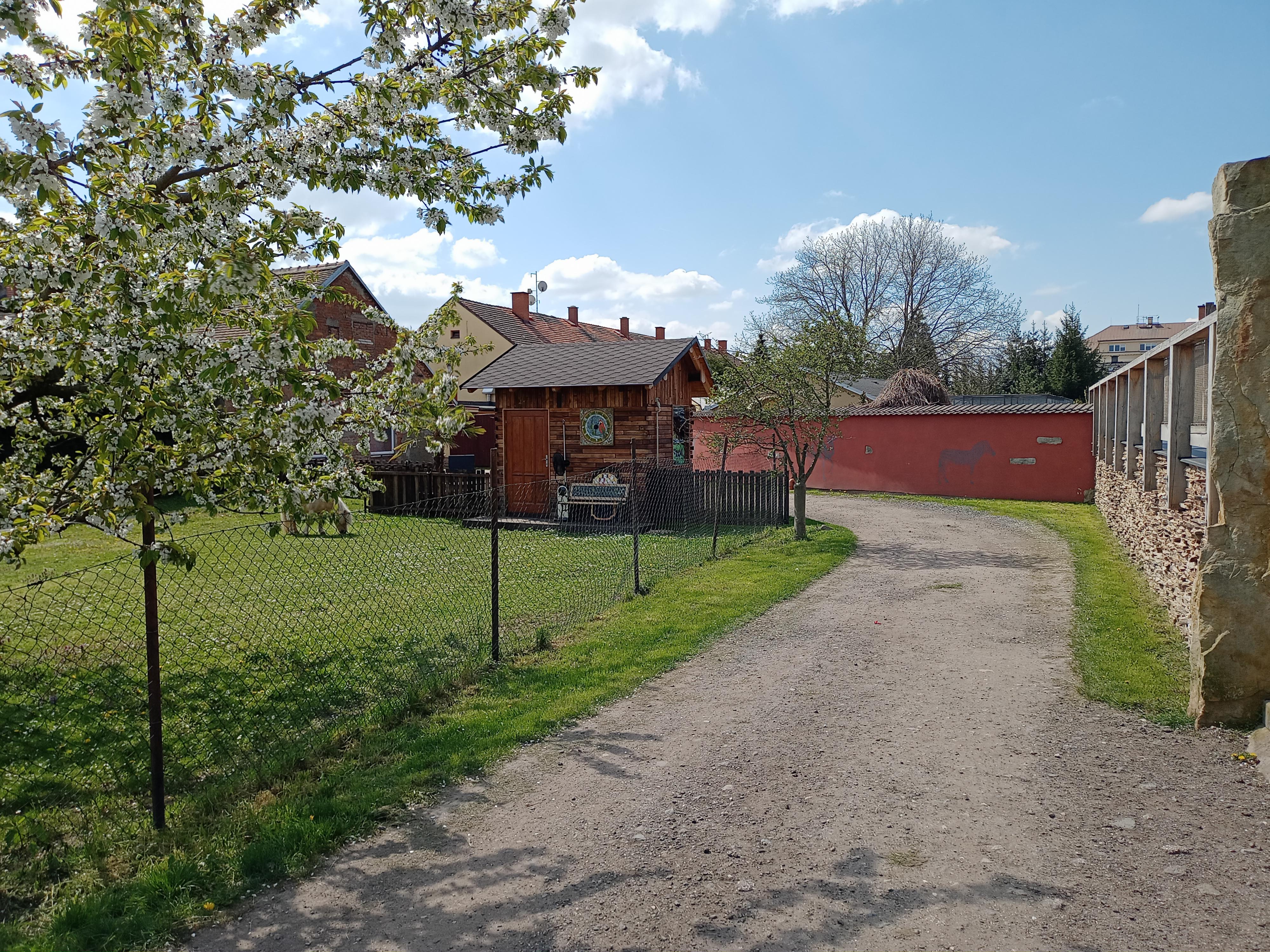 Občerstvení u lesoparku Stěžery