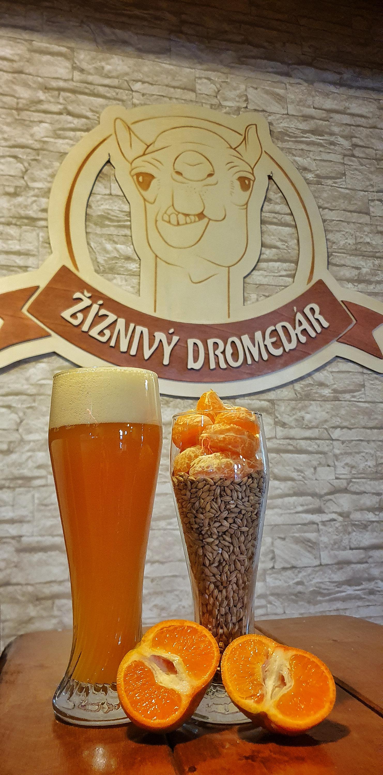Žíznivý dromedár - minipivovar a restaurace foto 2
