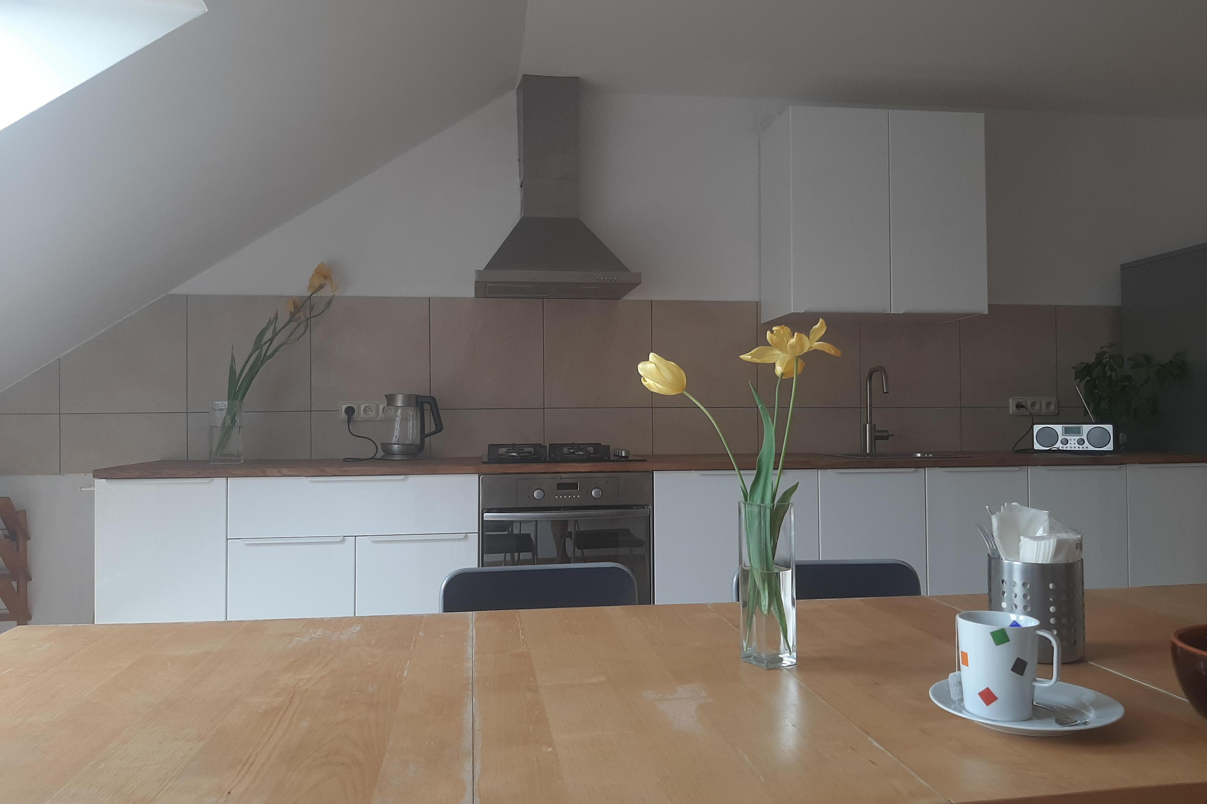 Apartmán Dvořák 194 pod Svatou Horou