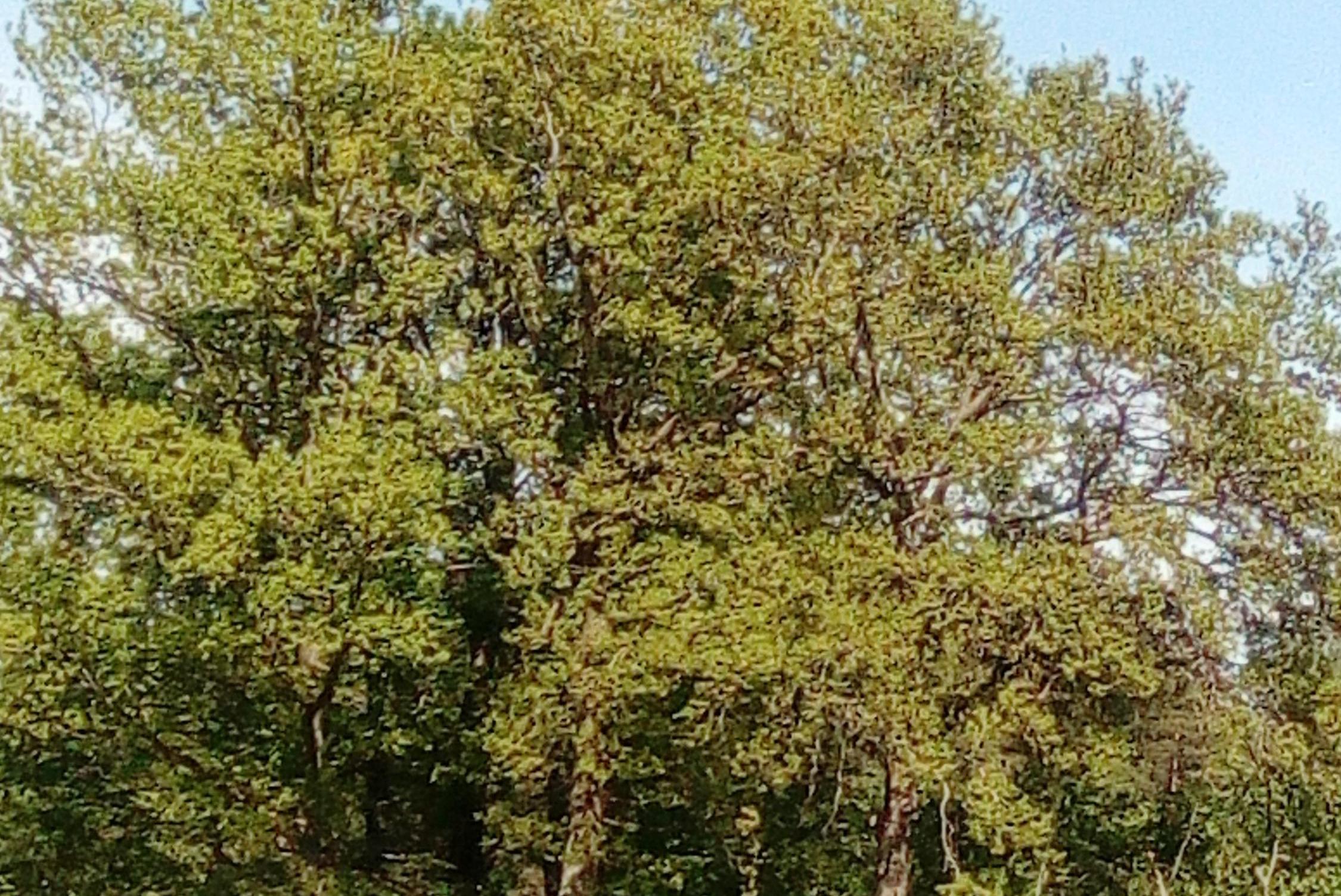 Průvodkyně osobním životem Věra Michková foto 2