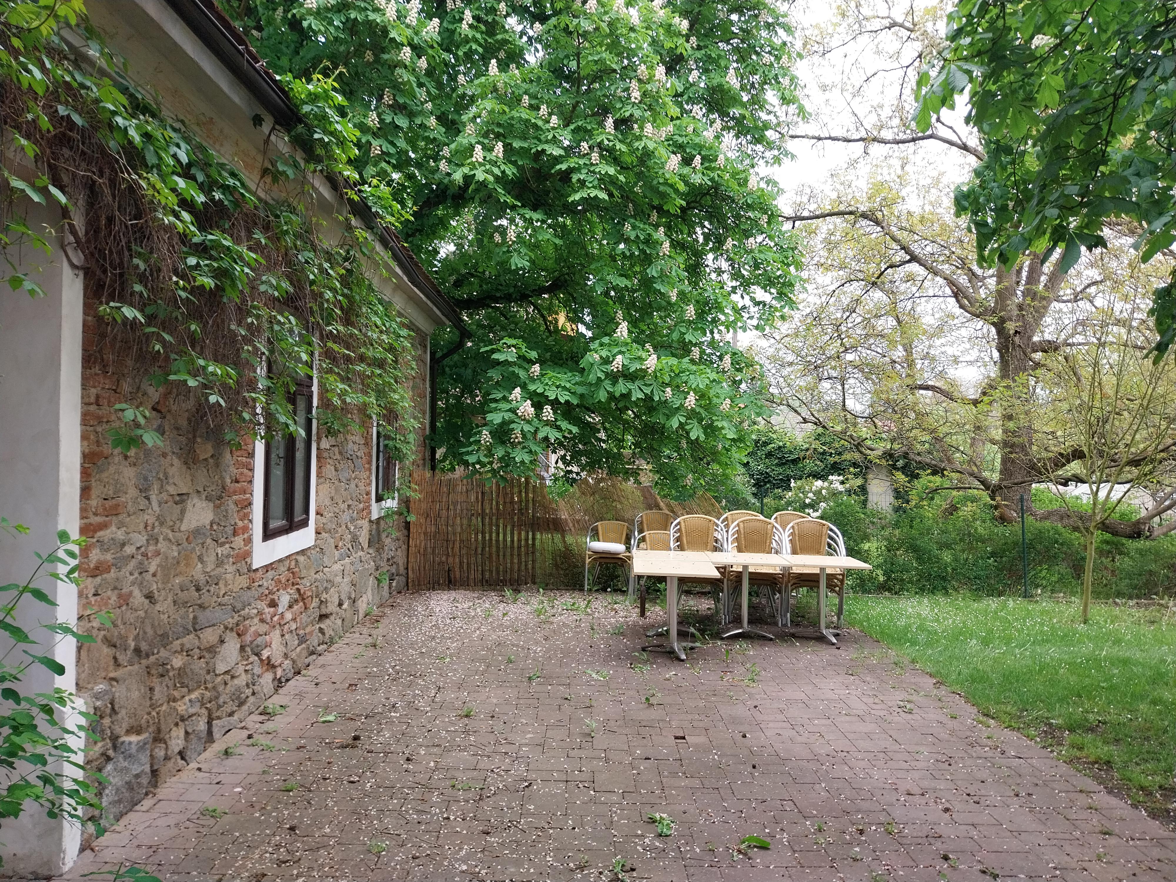 Restaurace U Neužilů foto 3