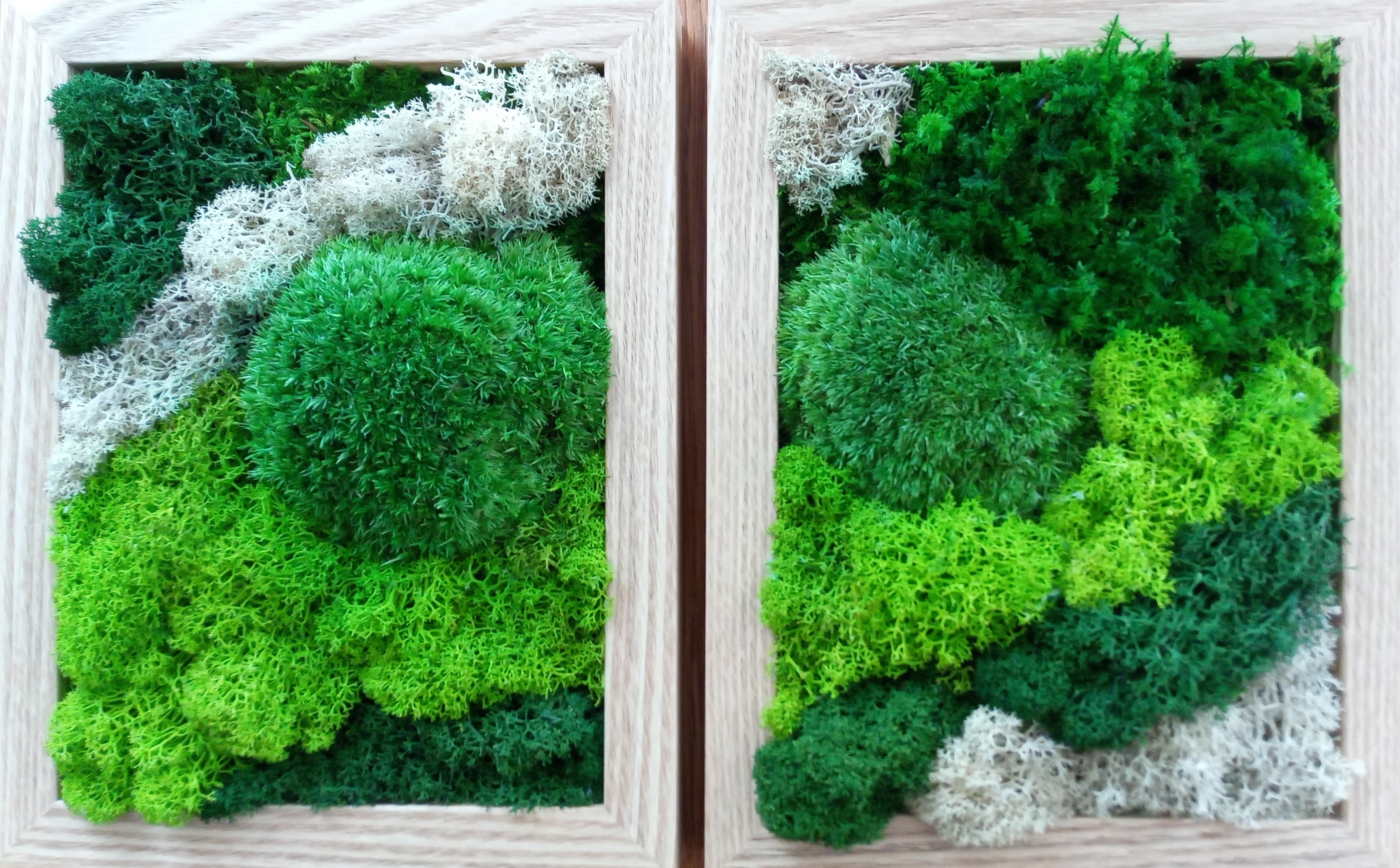 Miriam Design foto 2