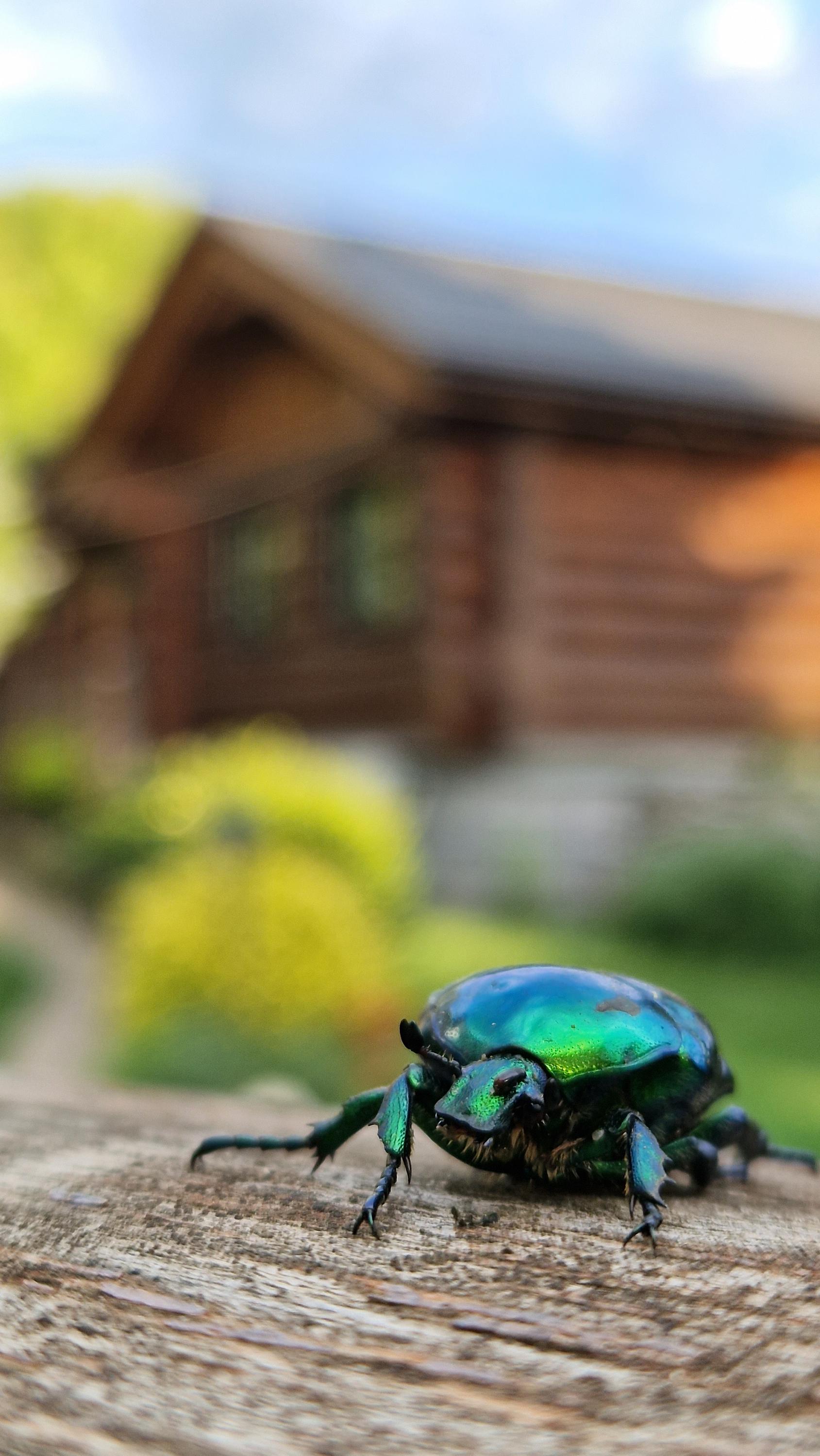 Vinotéka Radim foto 5