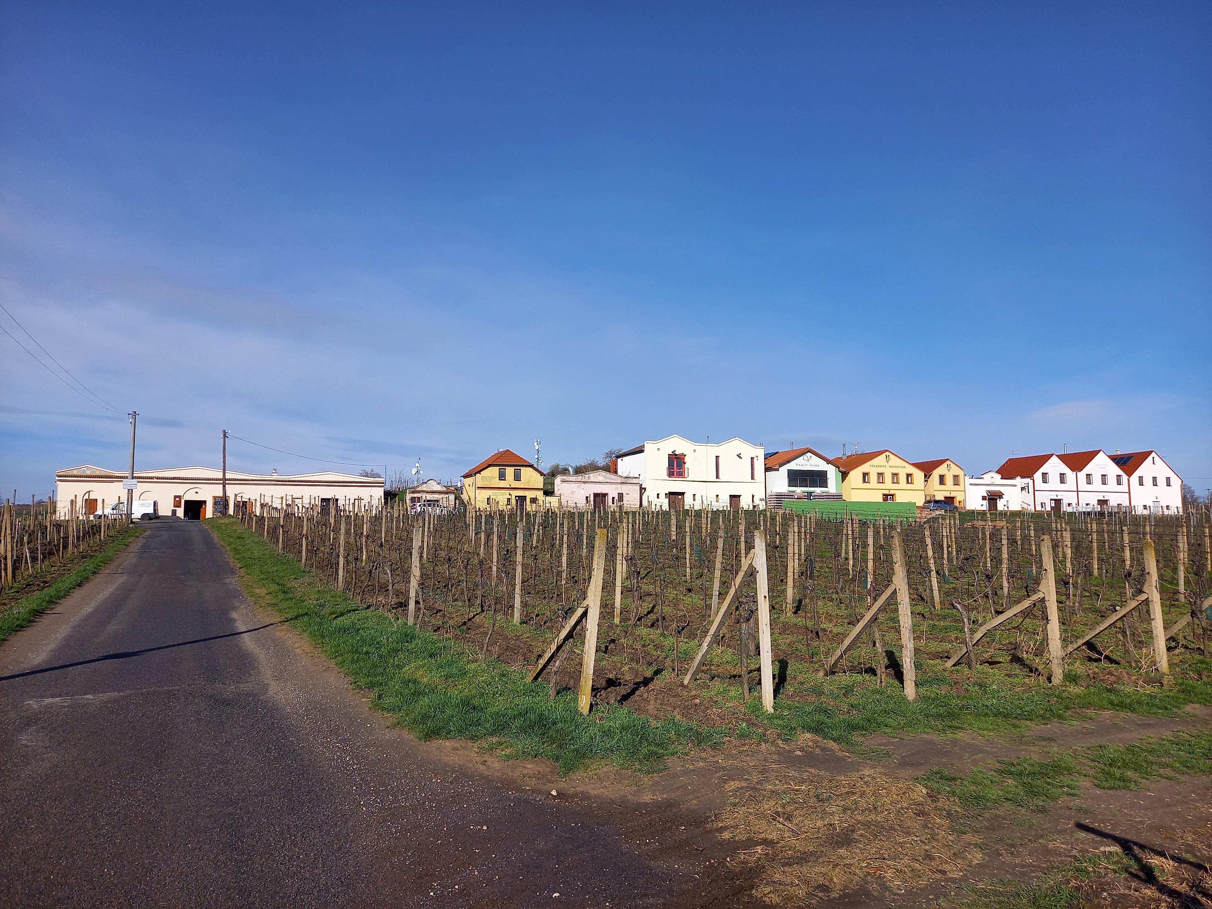 Penzion a vinařství Lelíkovi foto 2