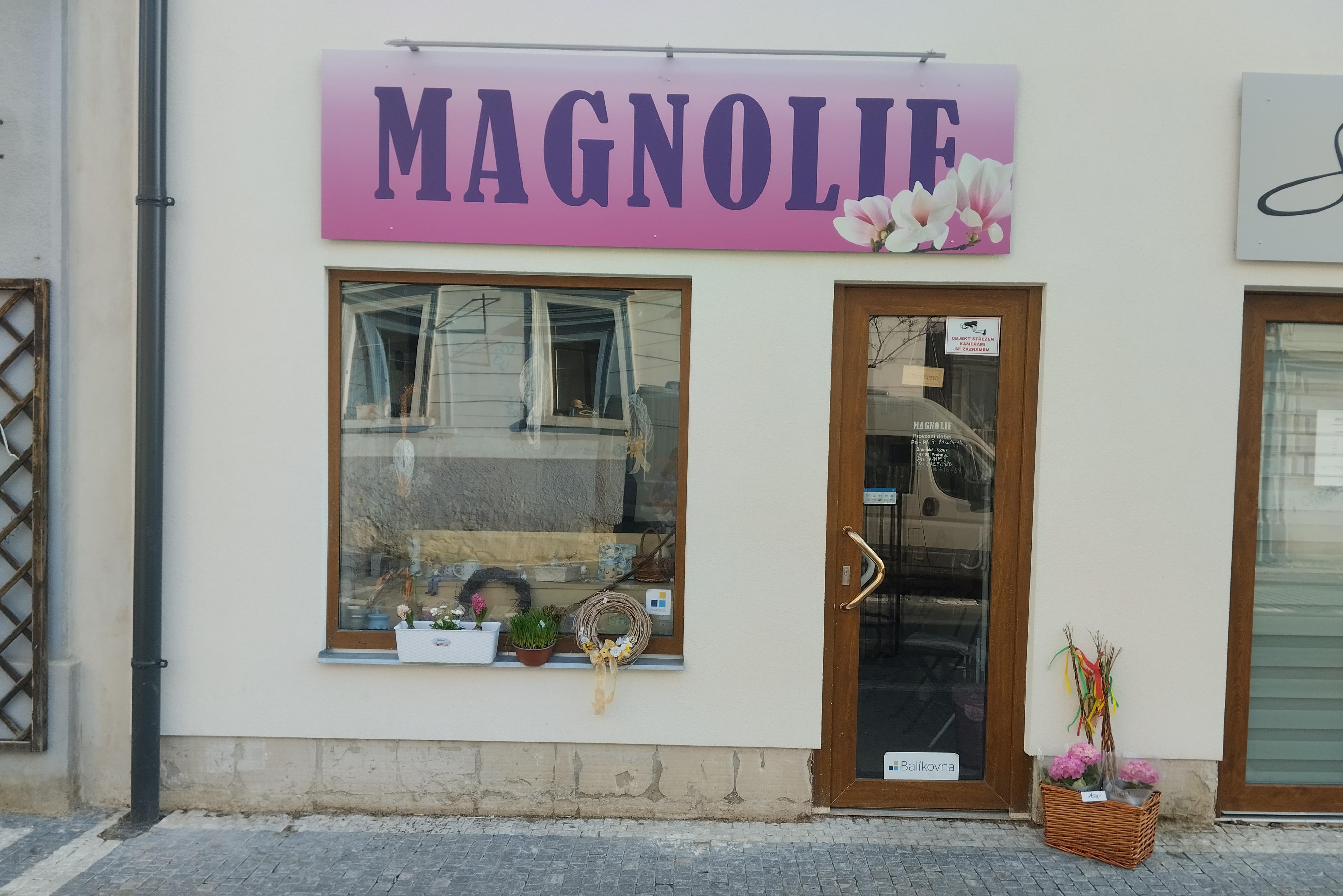 Magnolie