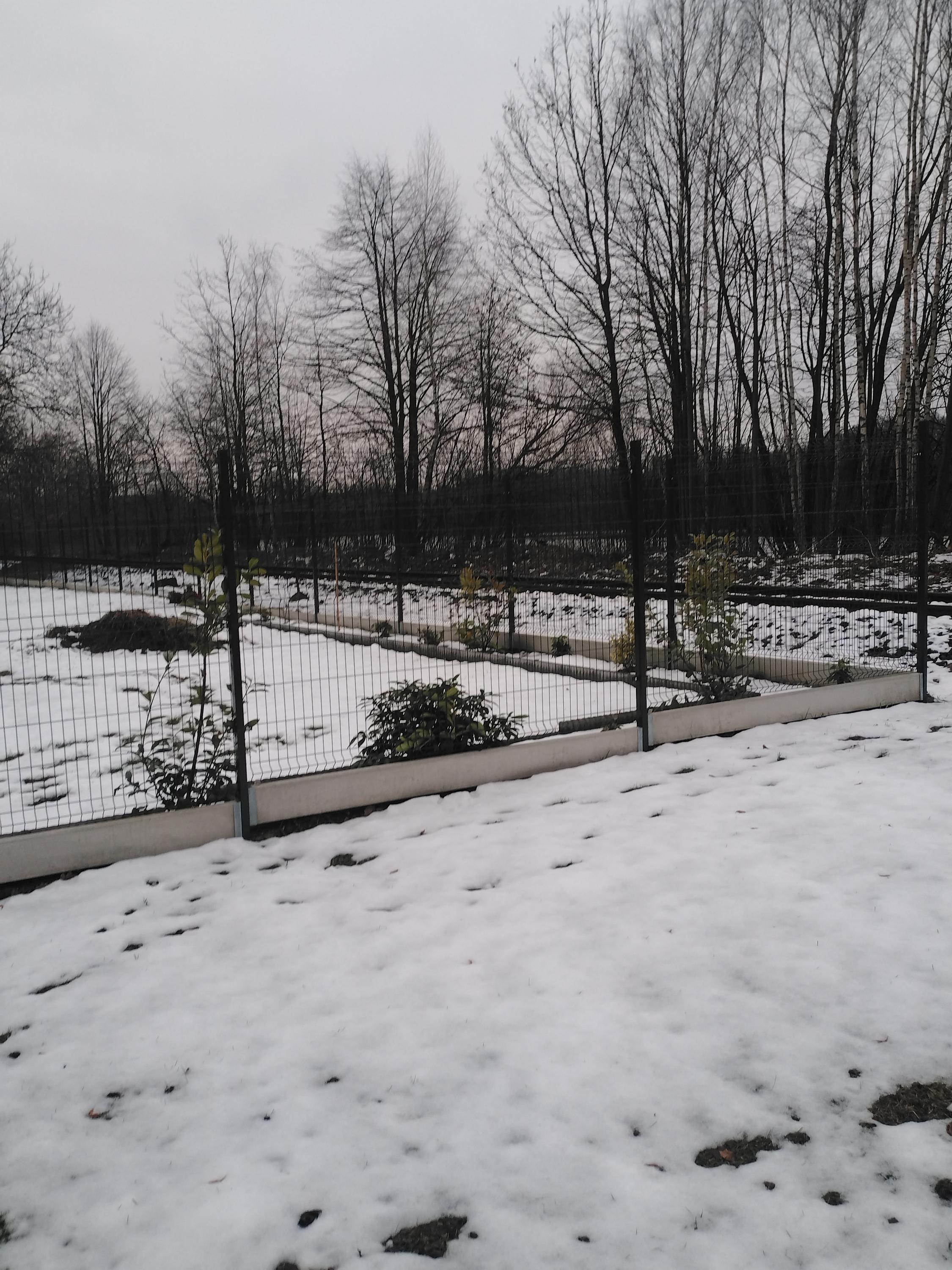 Ploty brány Rychvald - Martin Hálka foto 5