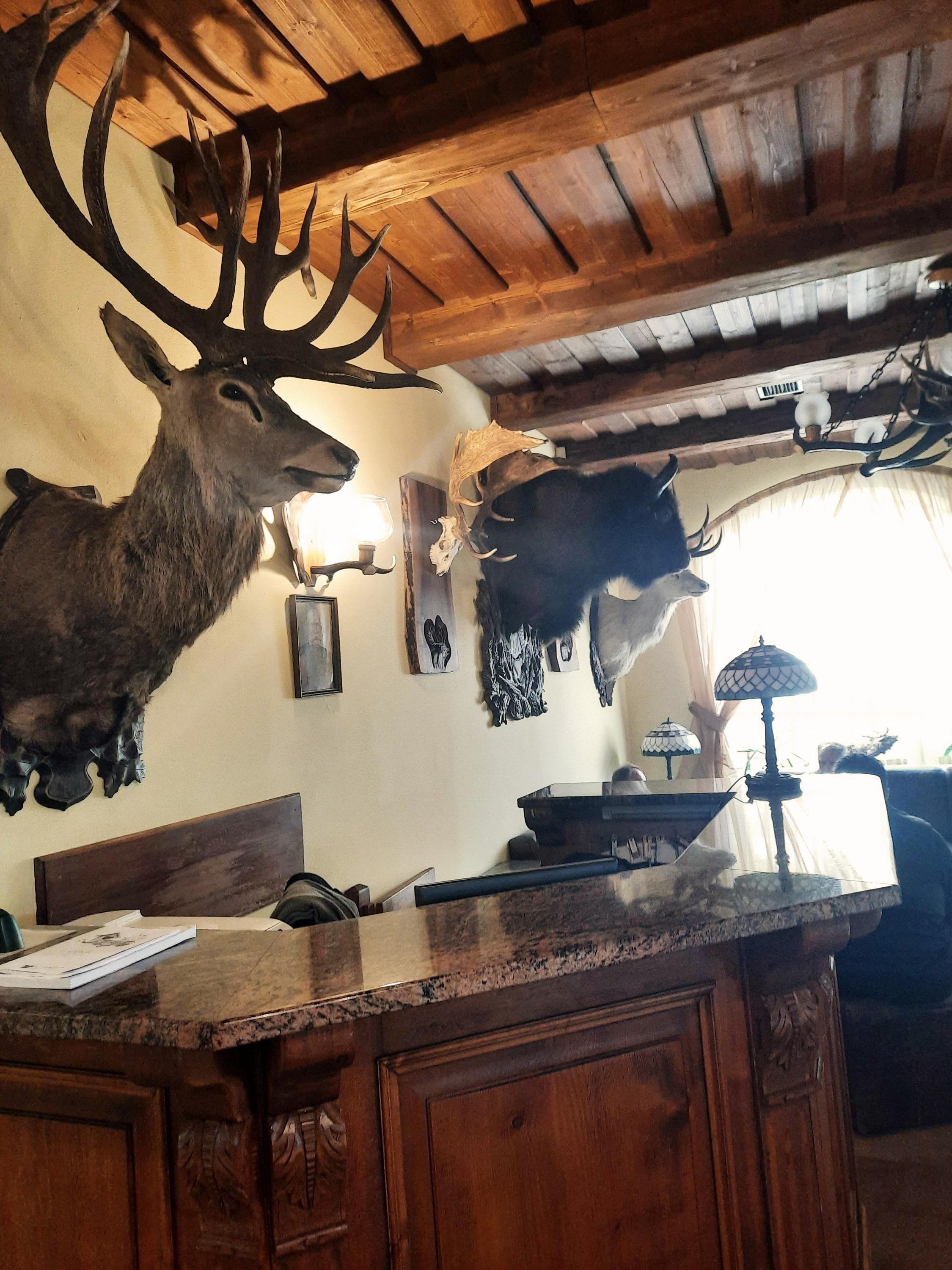 Restaurace Svatý Hubert foto 6