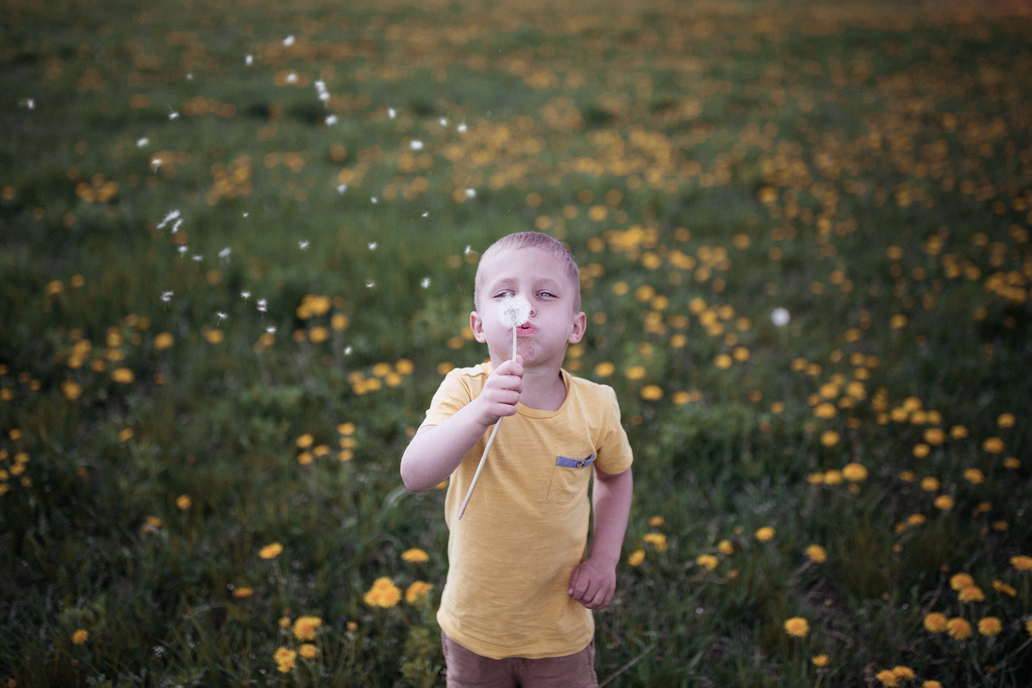 Karolína Šnajdrová - fotografka foto 4