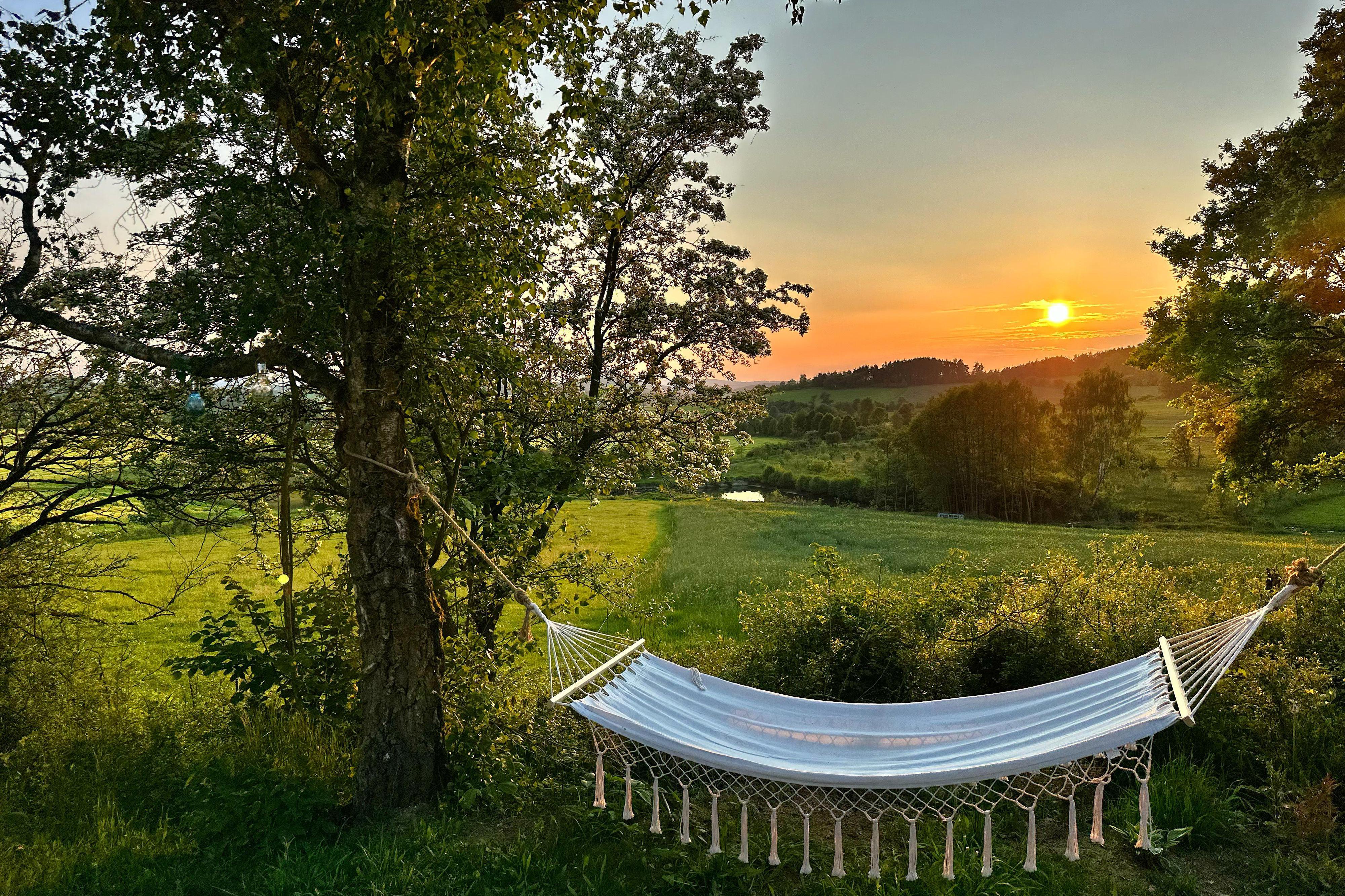 Glamping Hive