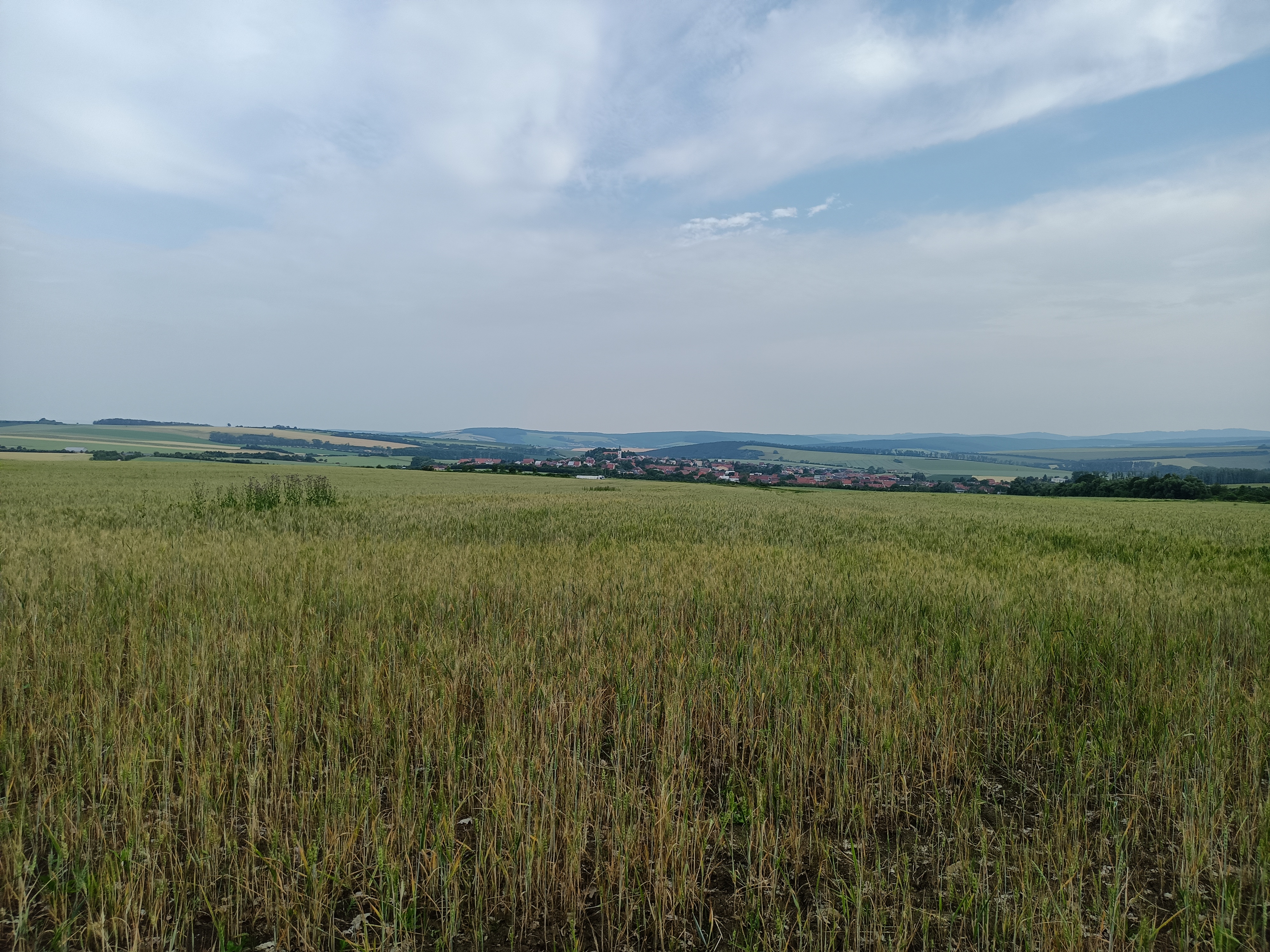 Bánov - obecní úřad foto 6