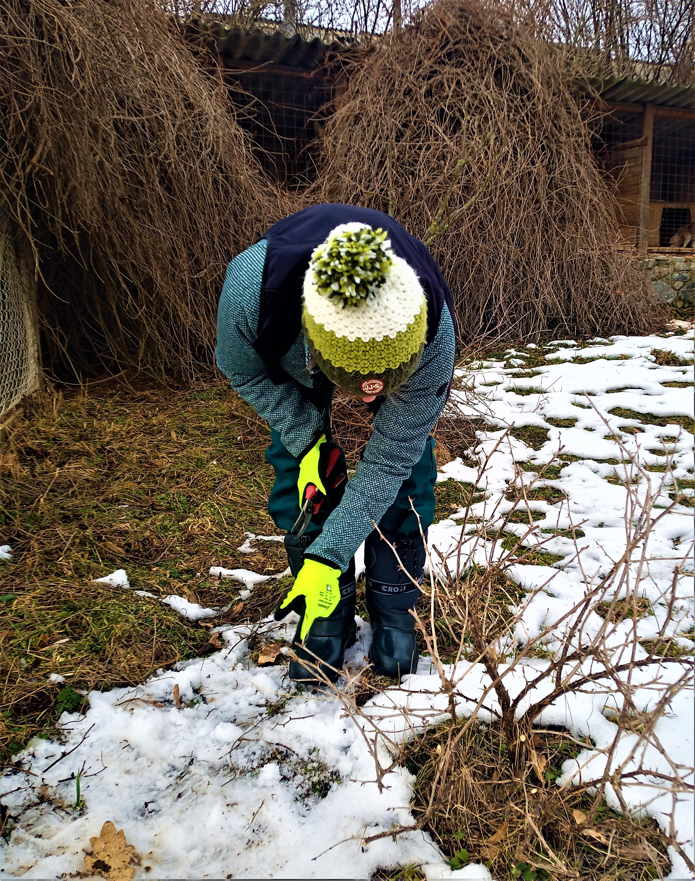 GardenCare.cz | Ing. Jitka Šabatová foto 6