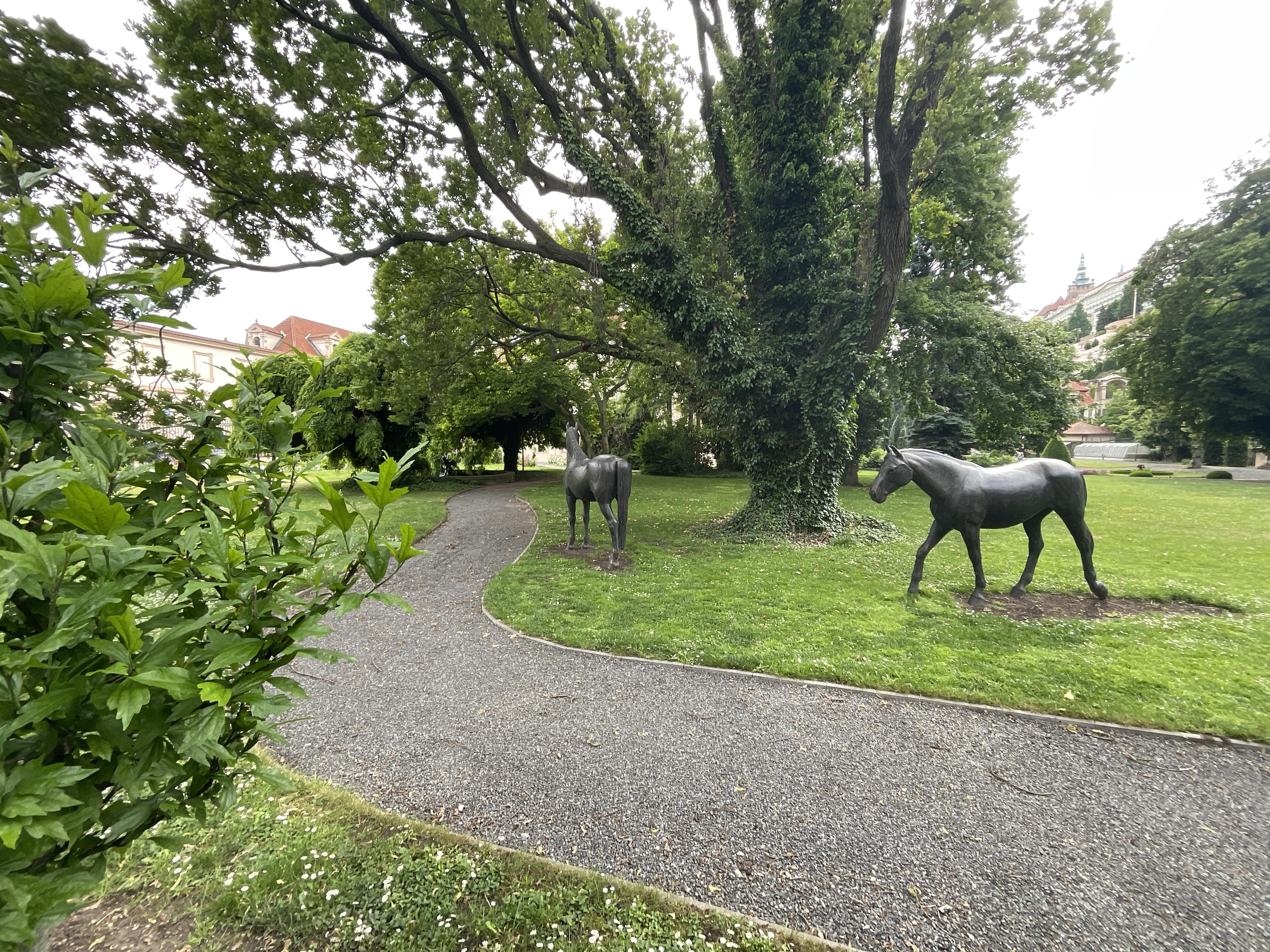 Velvyslanectví Polské republiky foto 4