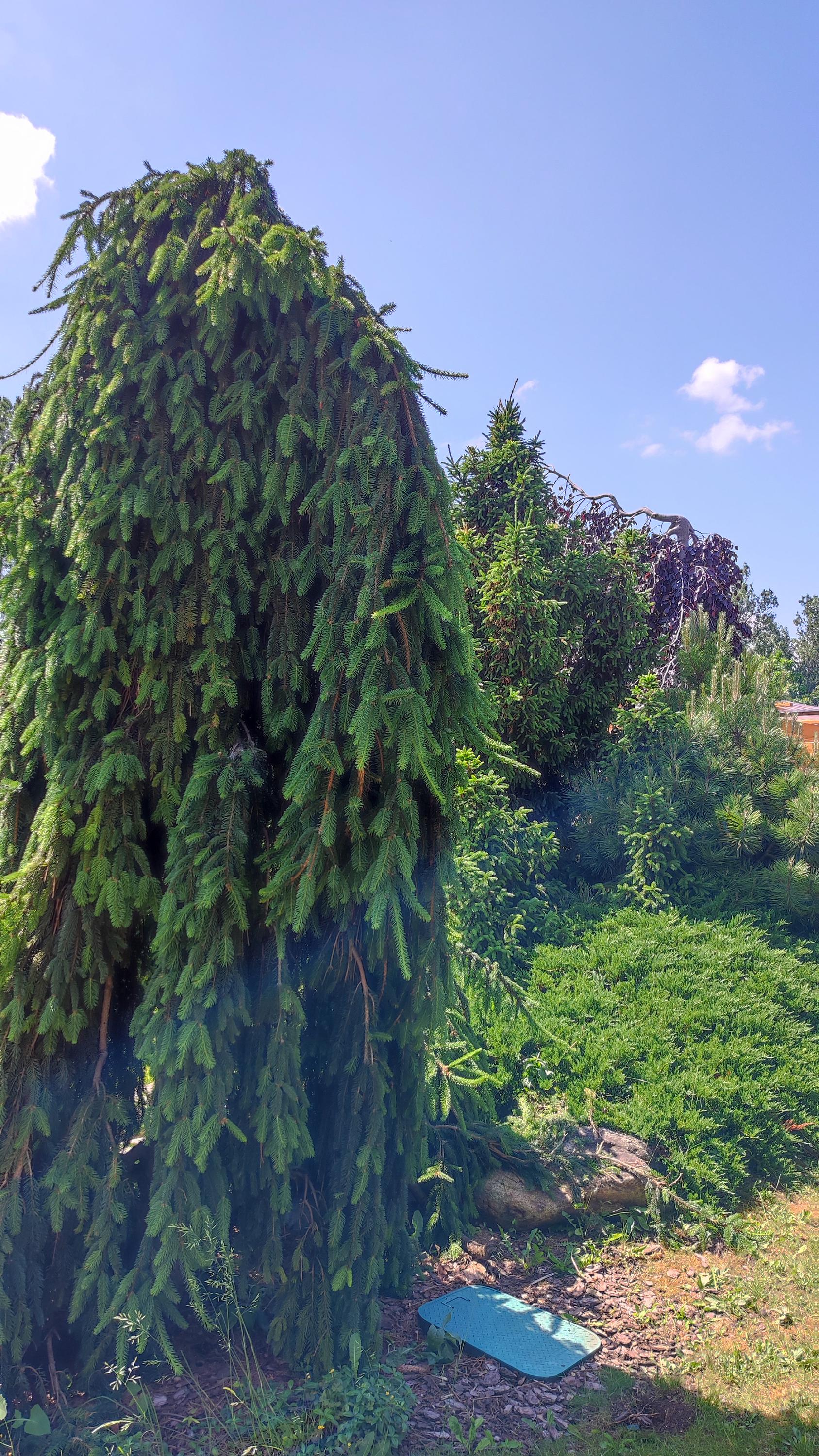 HORTISCENTRUM, s.r.o. foto 6