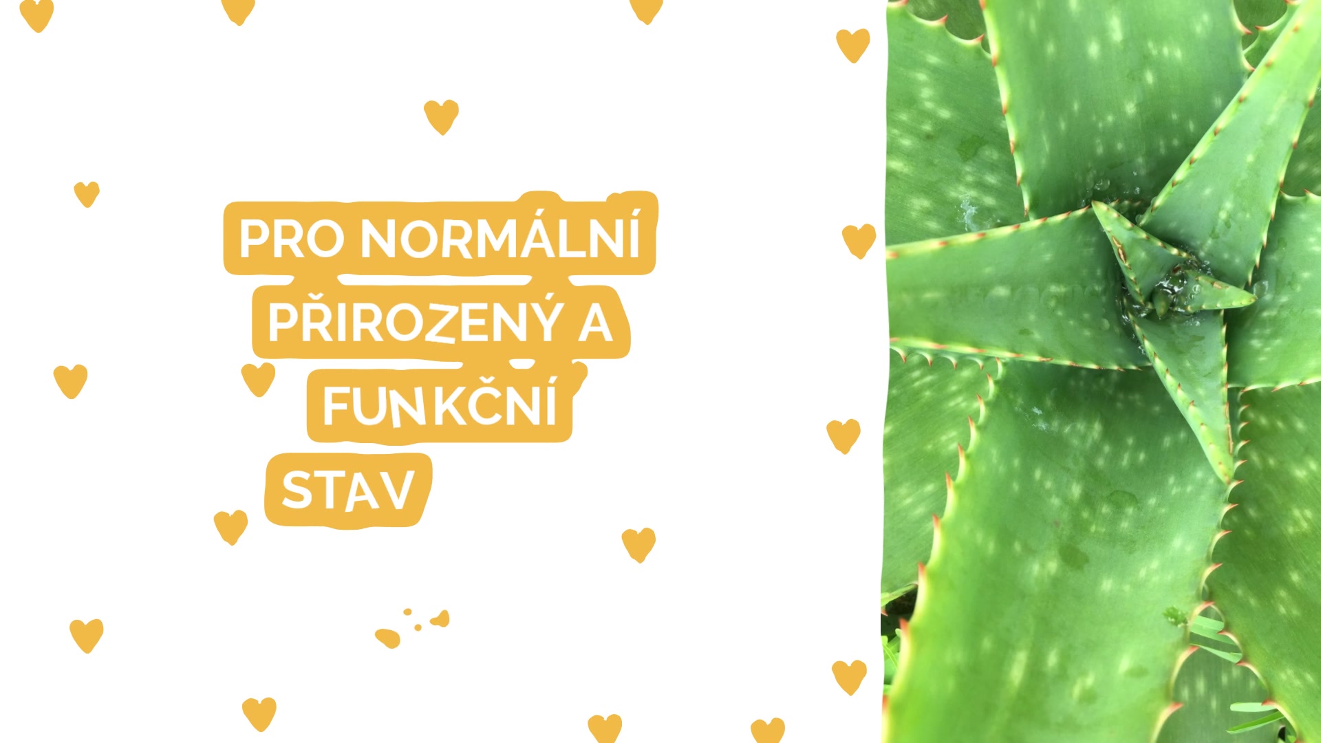 NATURA IMUNECO - Vitestin foto 2 (náhled videa)