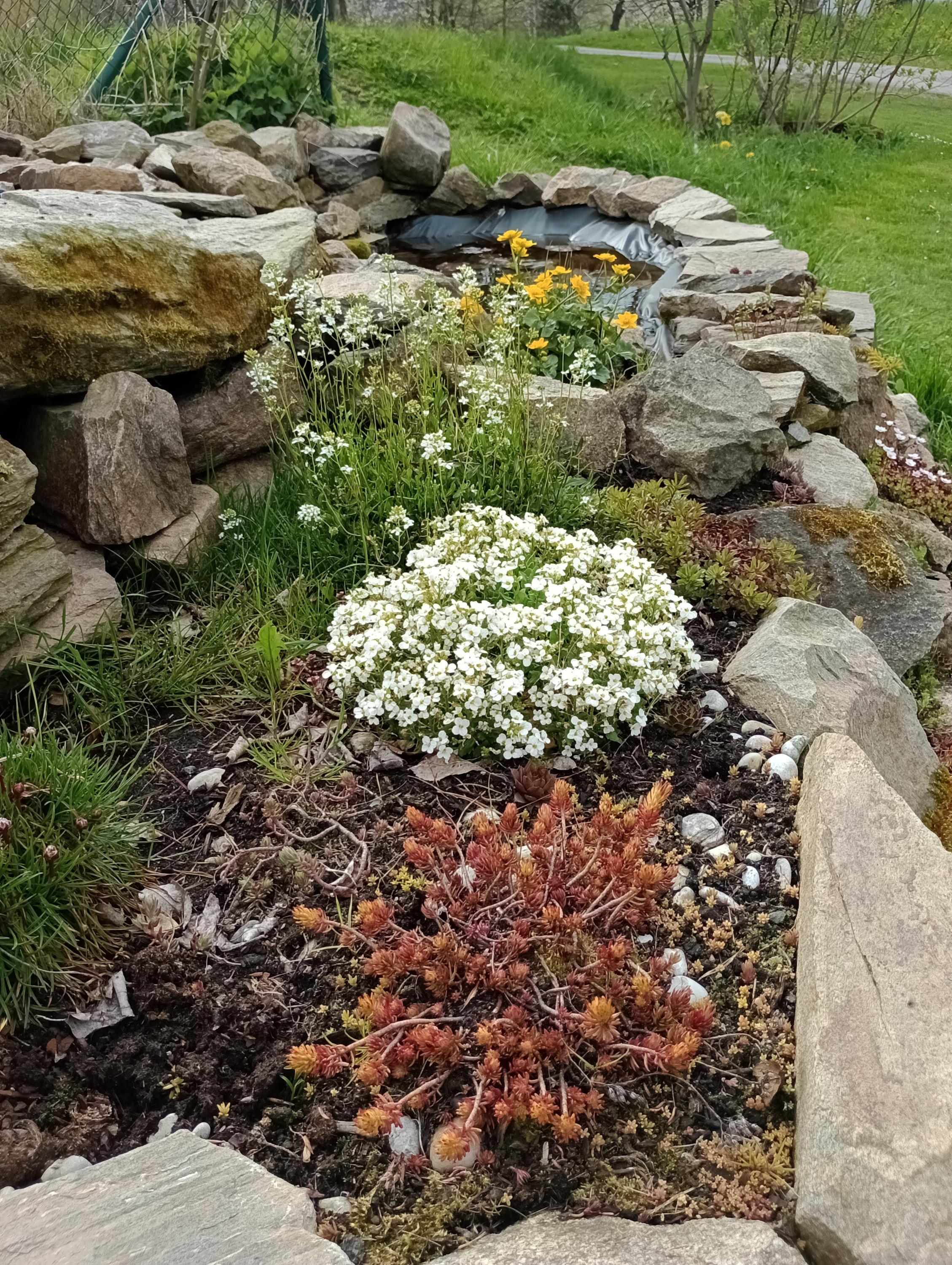 Ubytování U Vítů foto 2