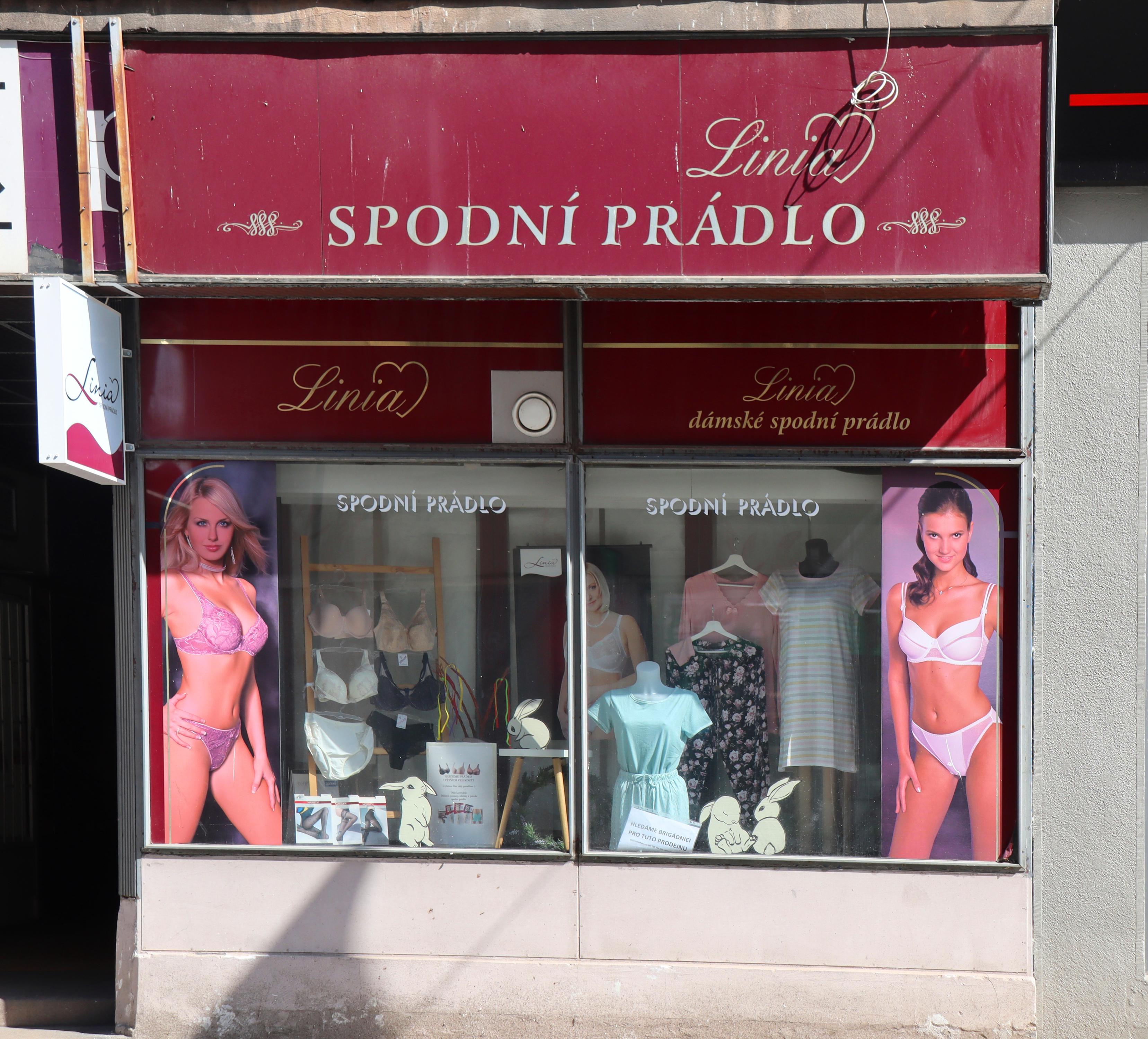 Linia - spodní prádlo foto 4