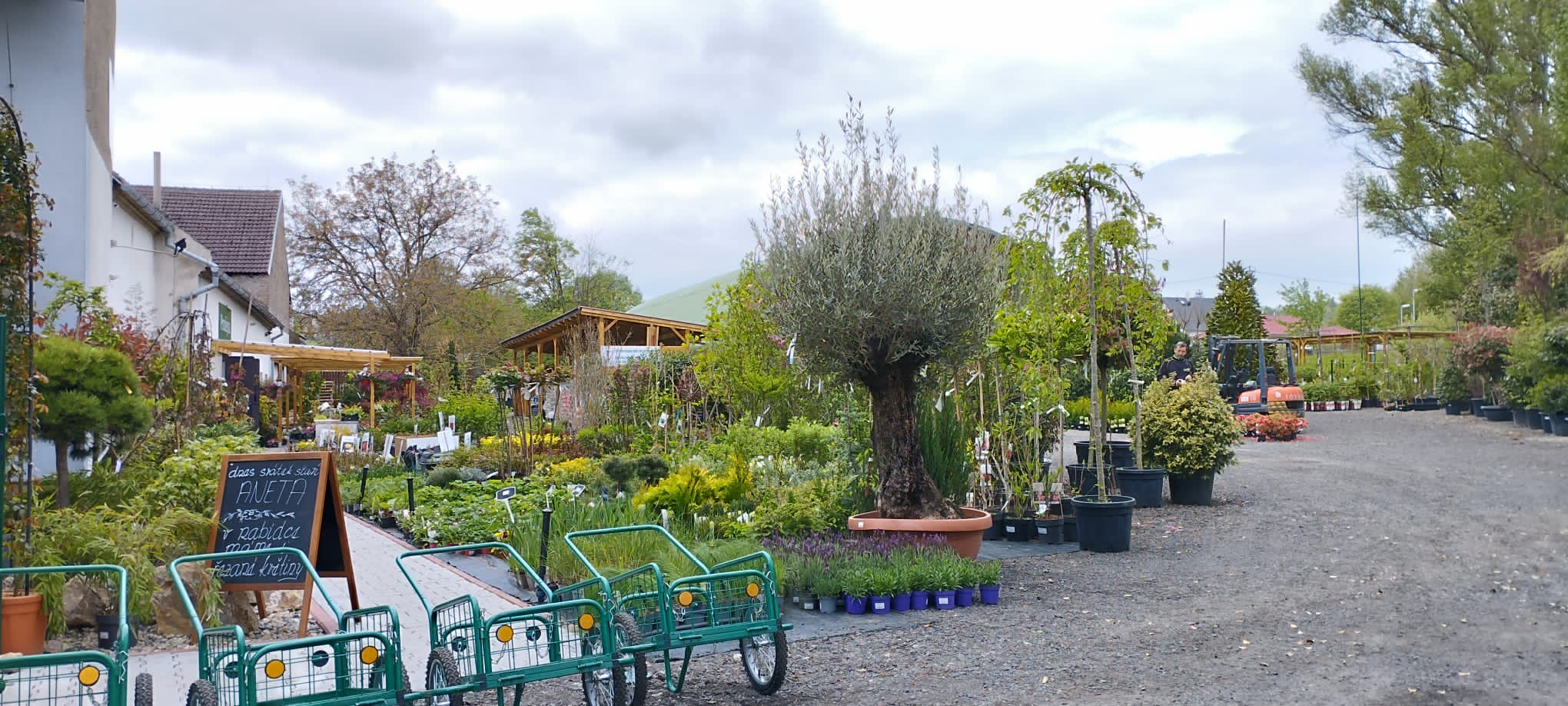 Zahradní centrum Běloušek foto 4