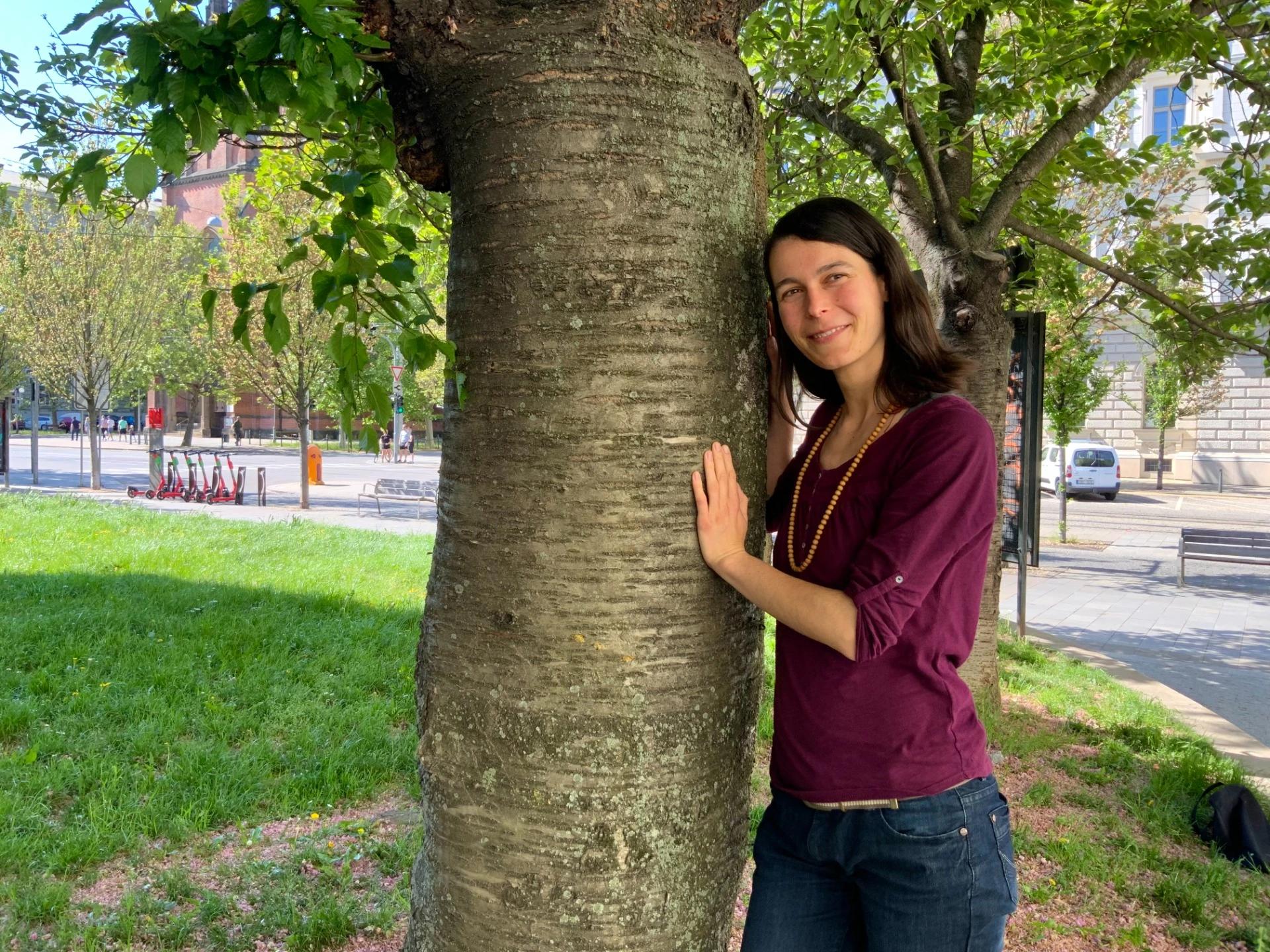 Sezení Fen kineziologie Esence