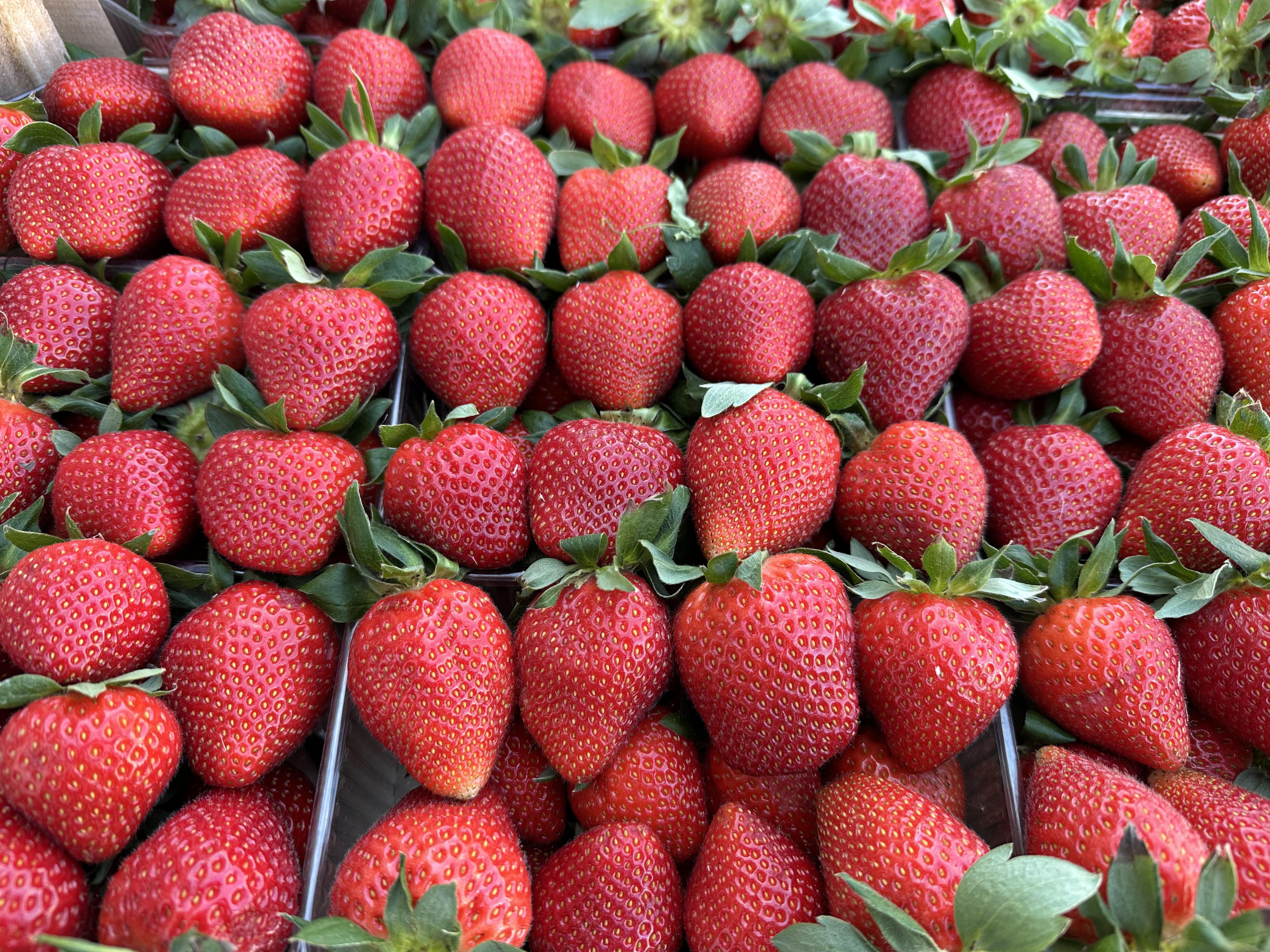 Ovoce z Hradce s.r.o. foto 1