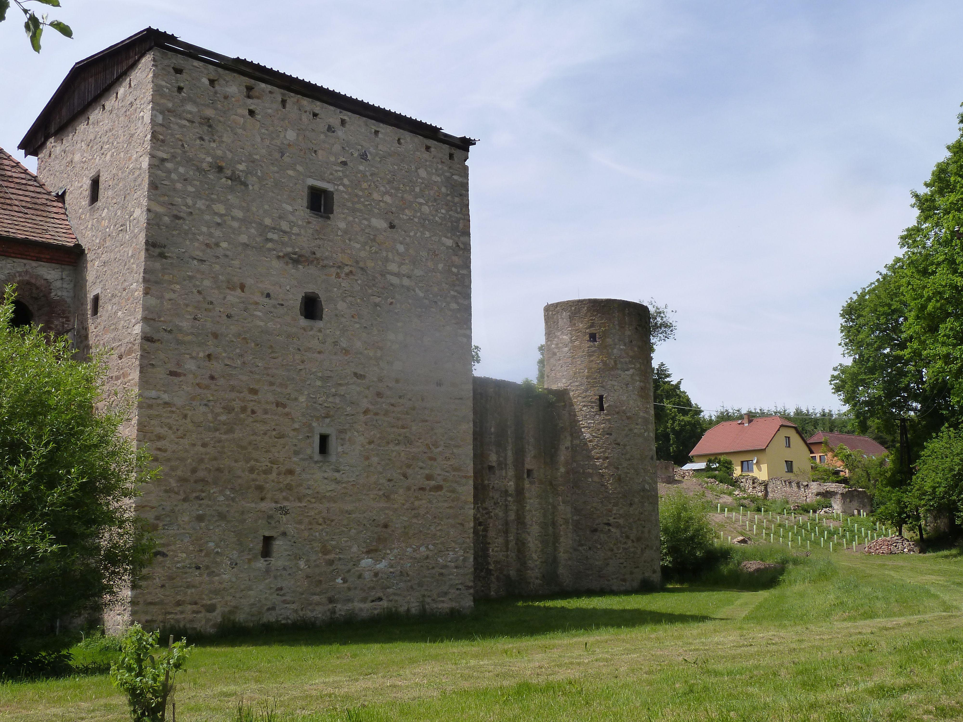 Vinice u náhonu foto 2