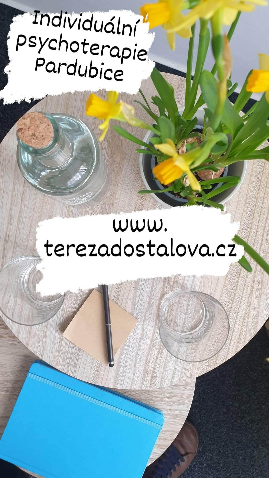 Tereza Dostálová, psychoterapeutické poradenství foto 3