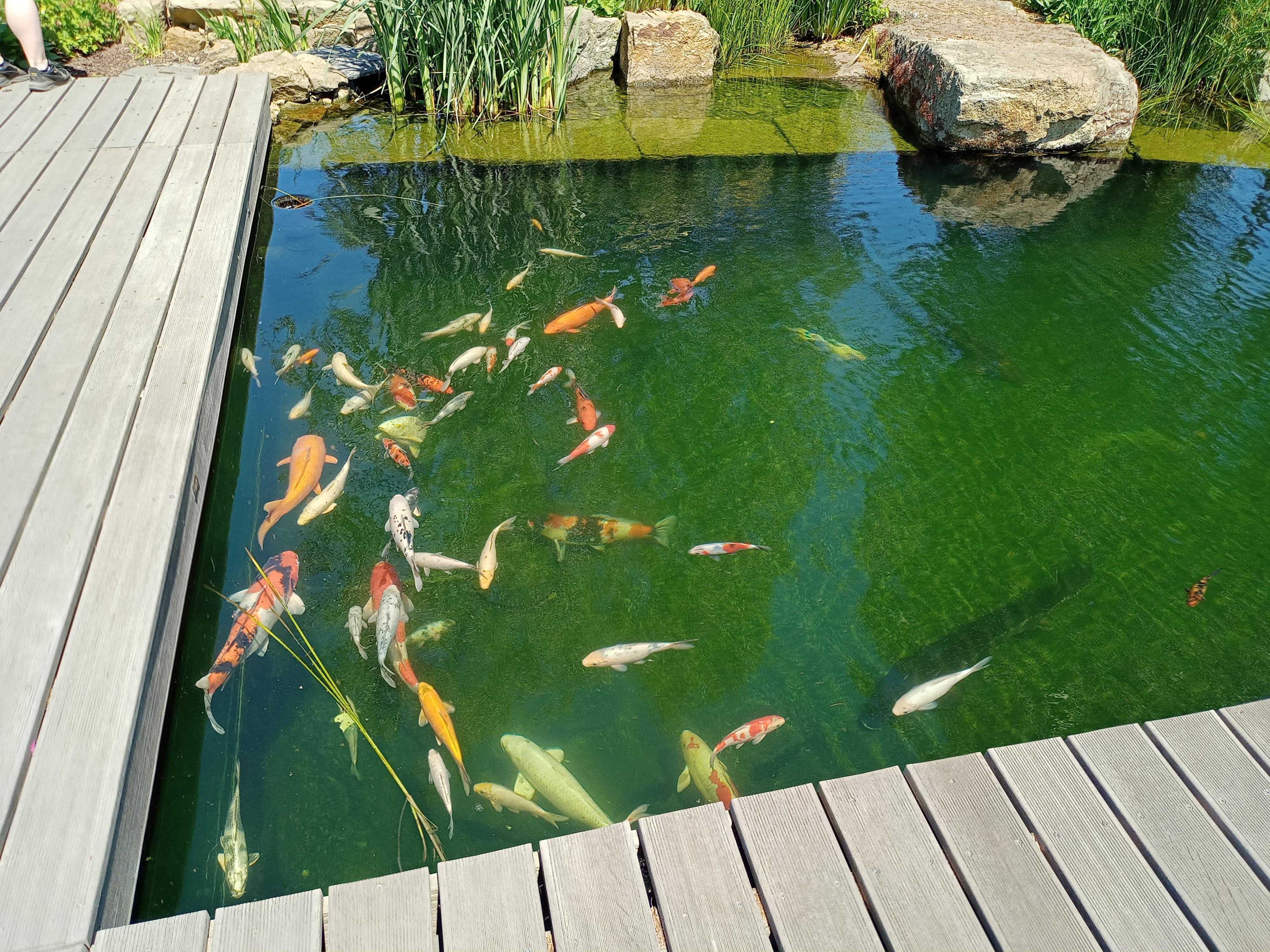 OK ZAHRADY s.r.o. - Prodejna foto 3