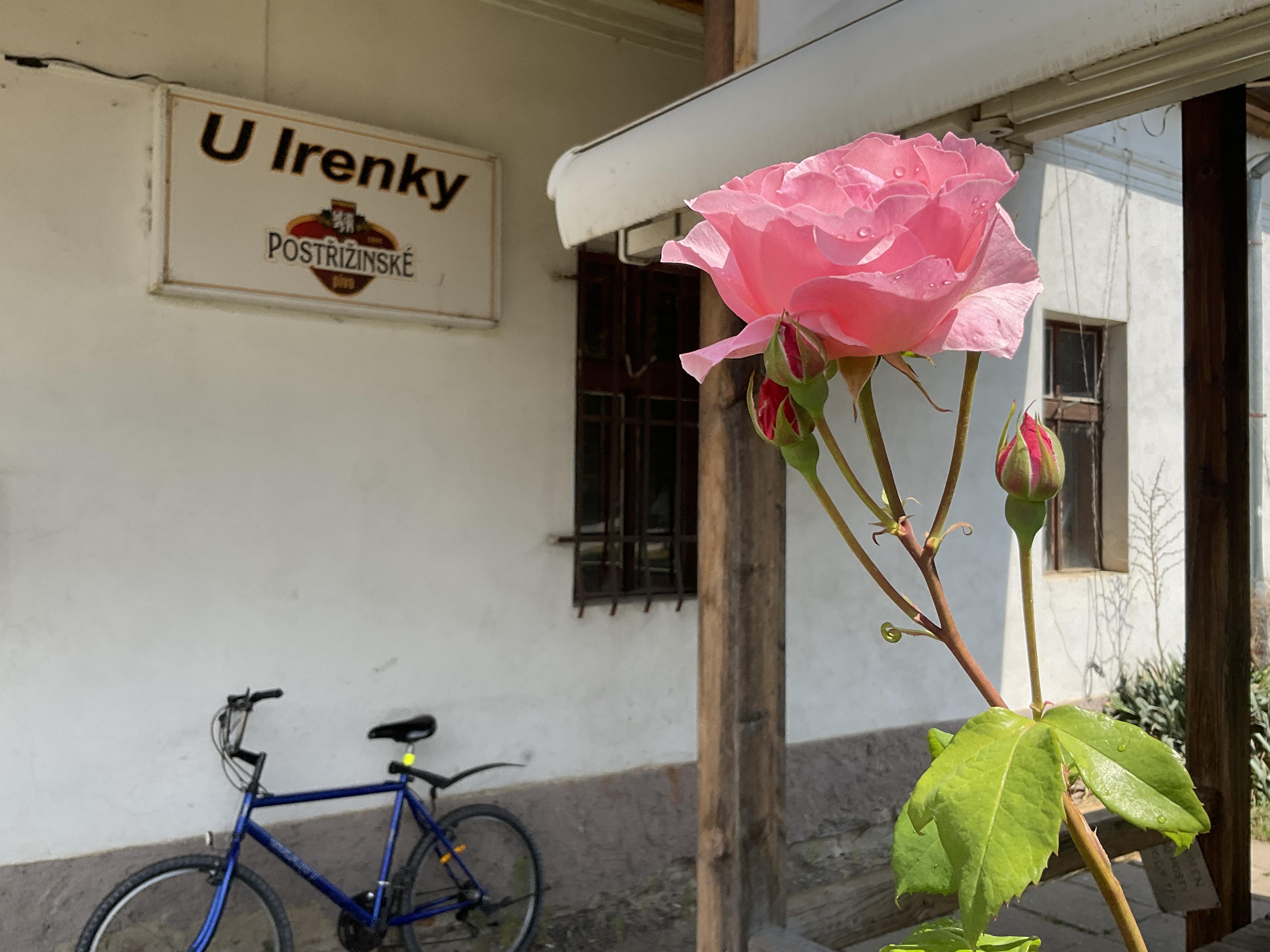 Hospůdka U Irenky foto 4