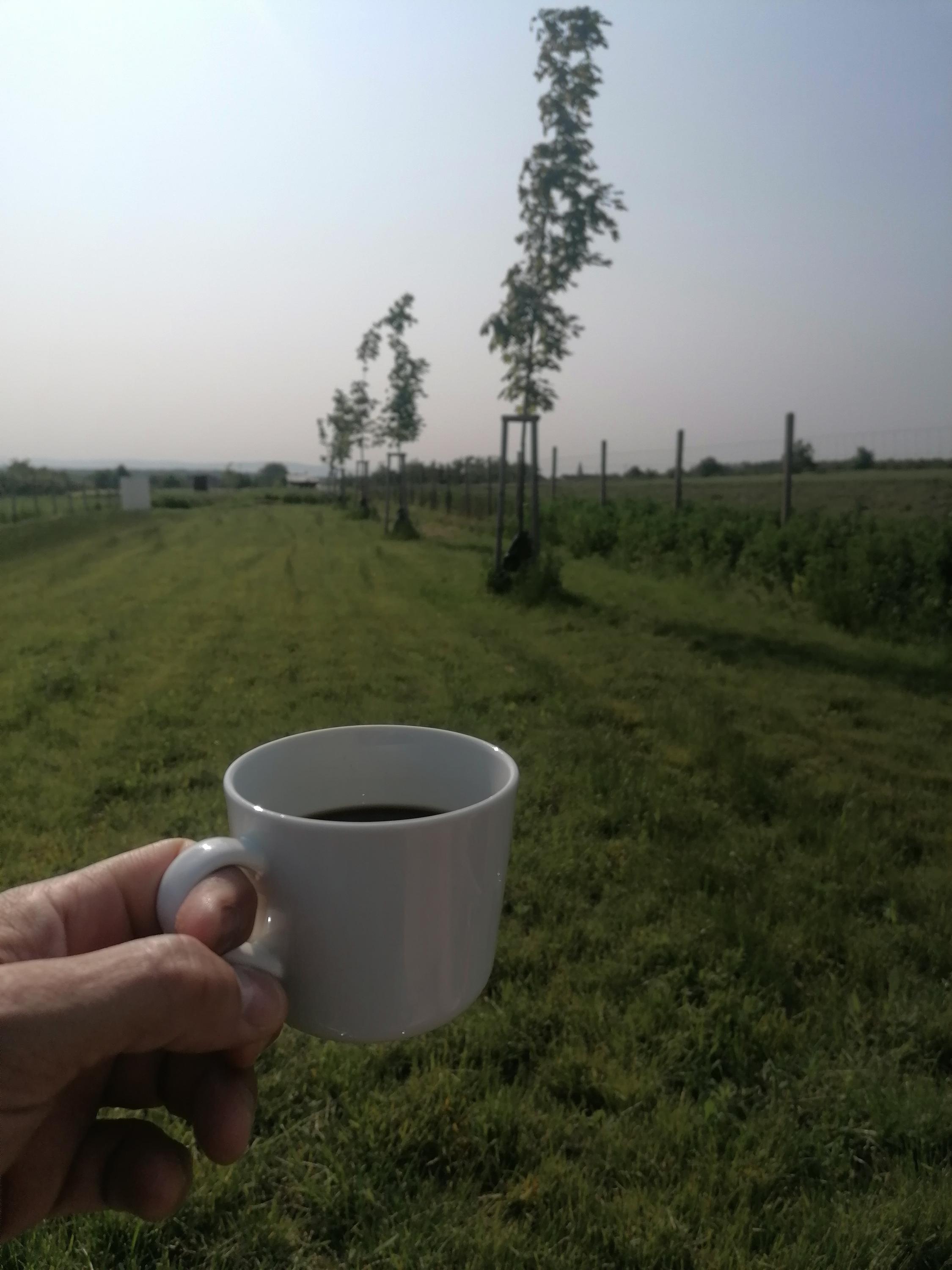 Altromutěnice, s.r.o. foto 3