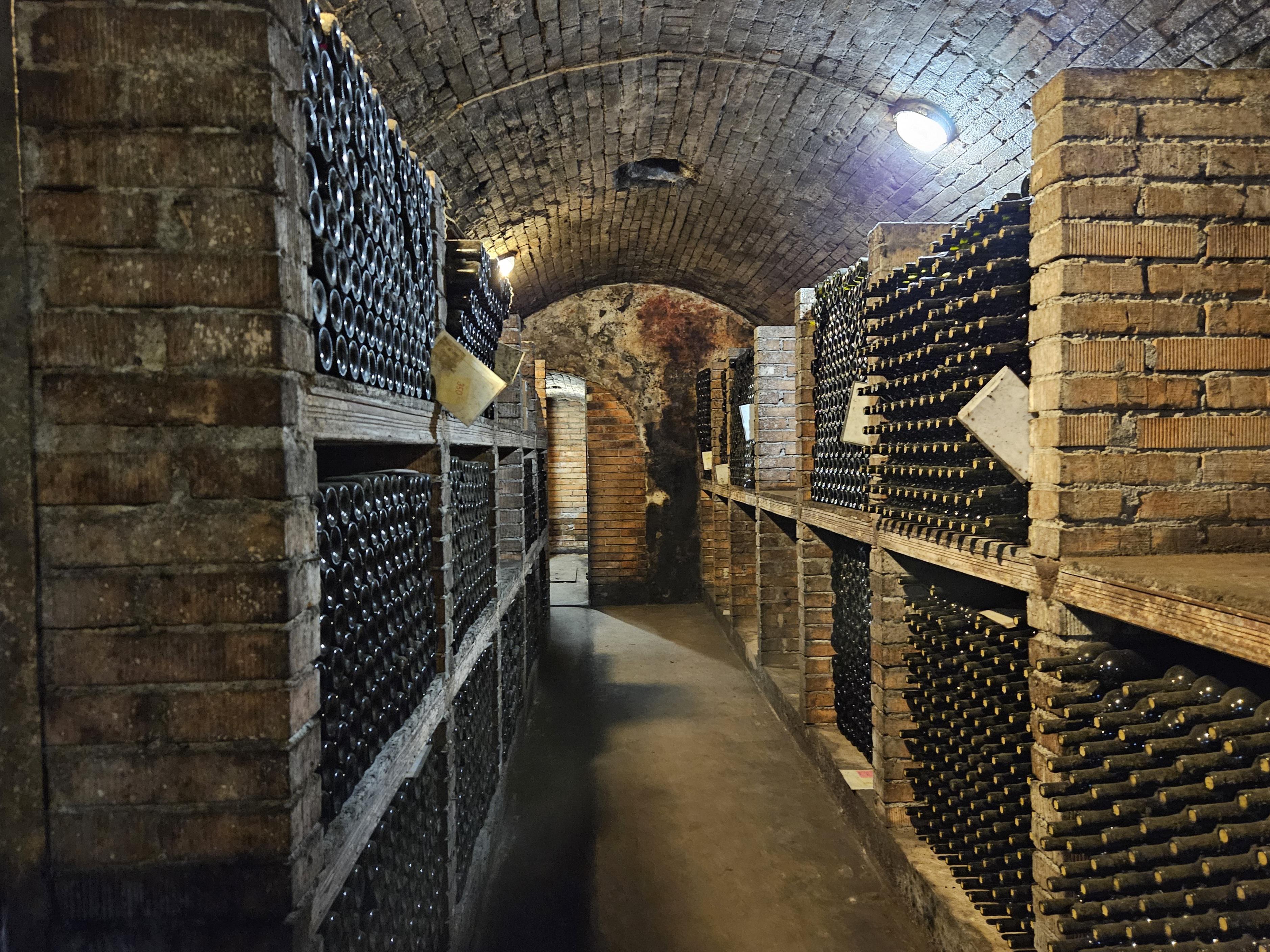 Rodinné vinařství Jedlička Bořetice foto 3