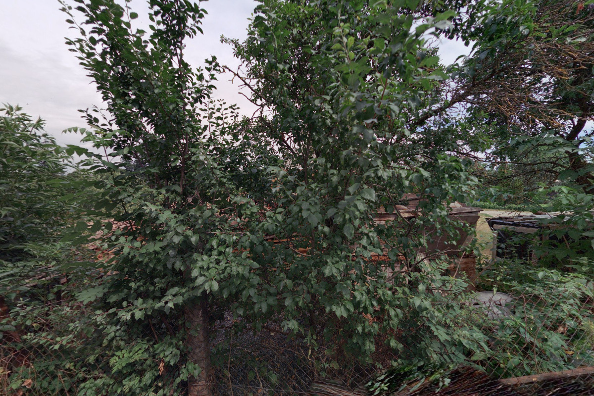 Tělocvičná jednota Sokol Příštpo