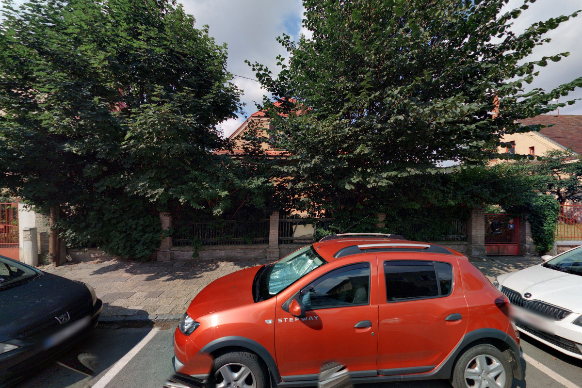 Kočičí naděje foto 2