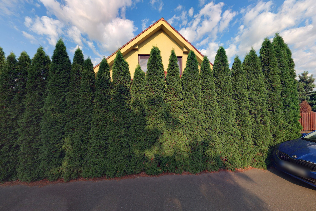 M Security and Cleaning, s.r.o.