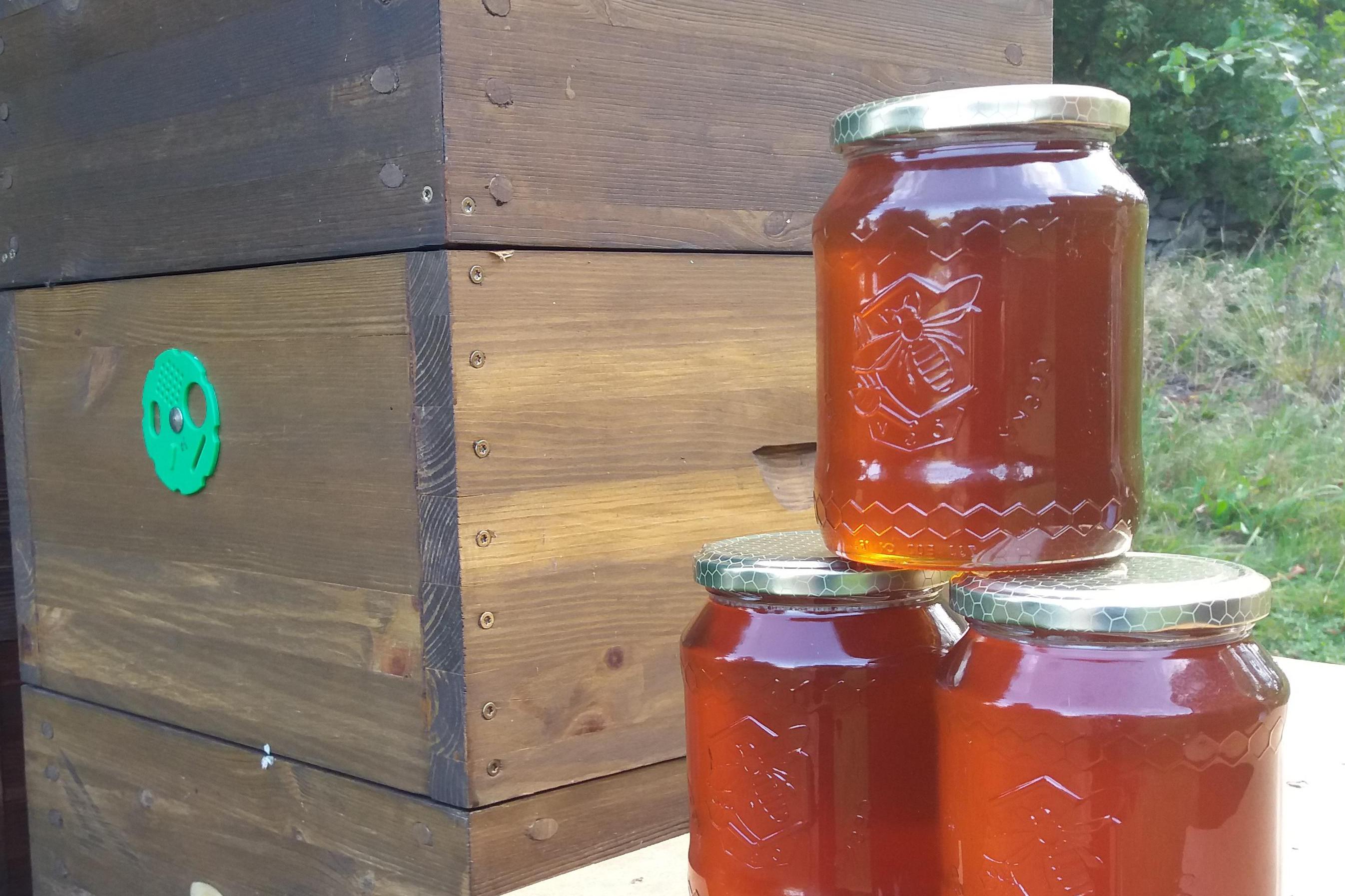 Prodej medu a chov včel David Štěpánek