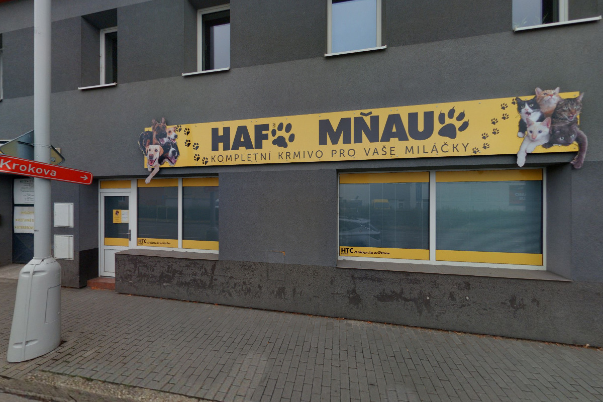 REGEN CLUB z.s. foto 2