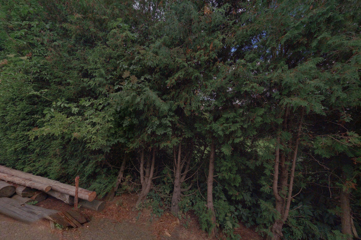 Zdravá anglická mateřská škola, s.r.o. foto 4