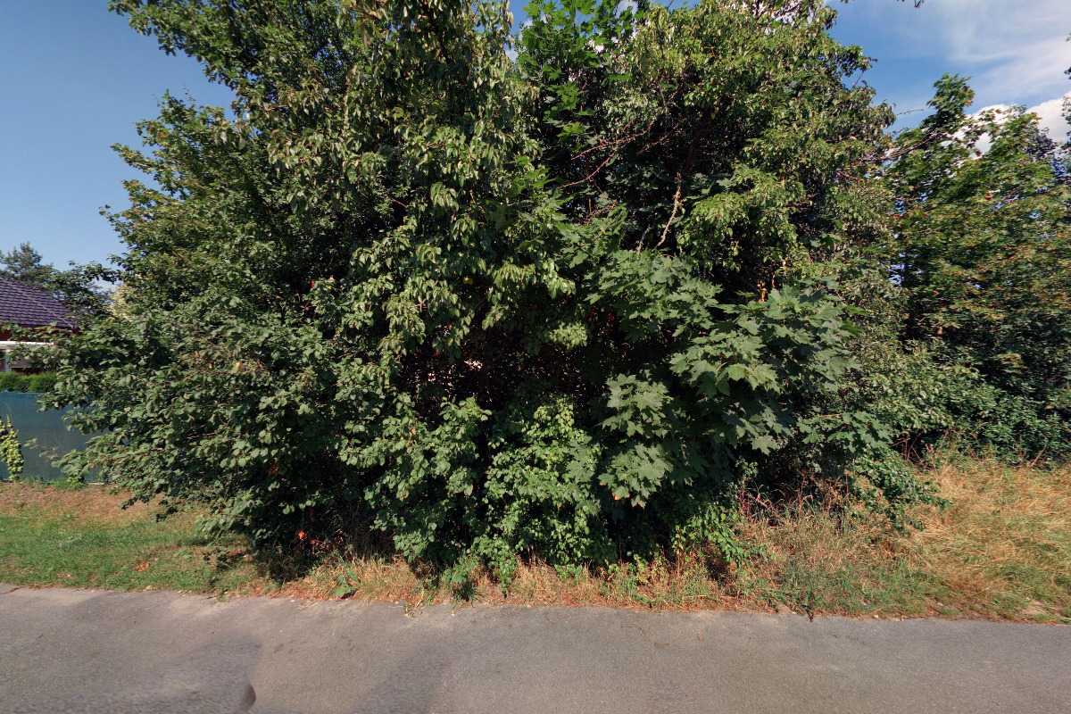 Zeppelin CZ s.r.o. foto 3