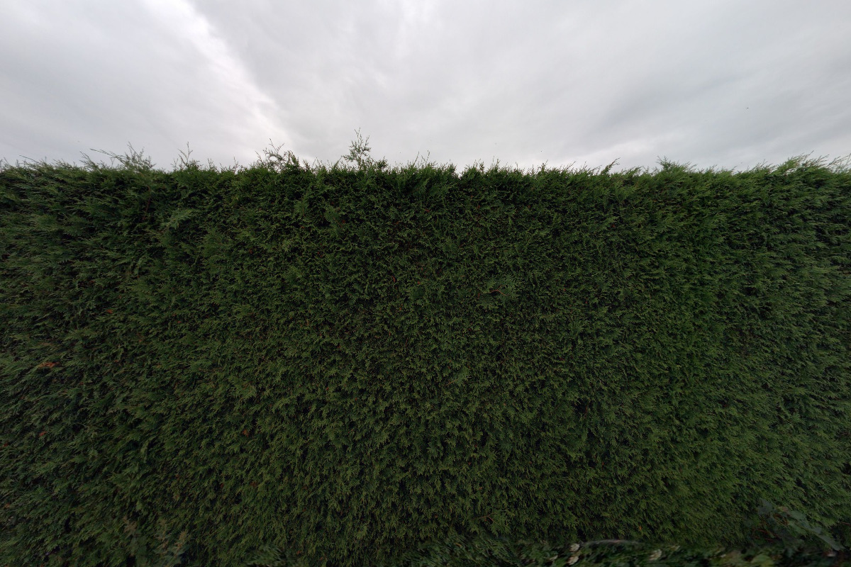 Ing. Iva Pahorecká - REMAX