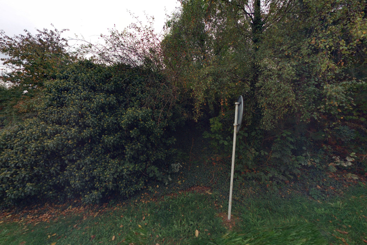 Naterynadrevo.cz foto 2