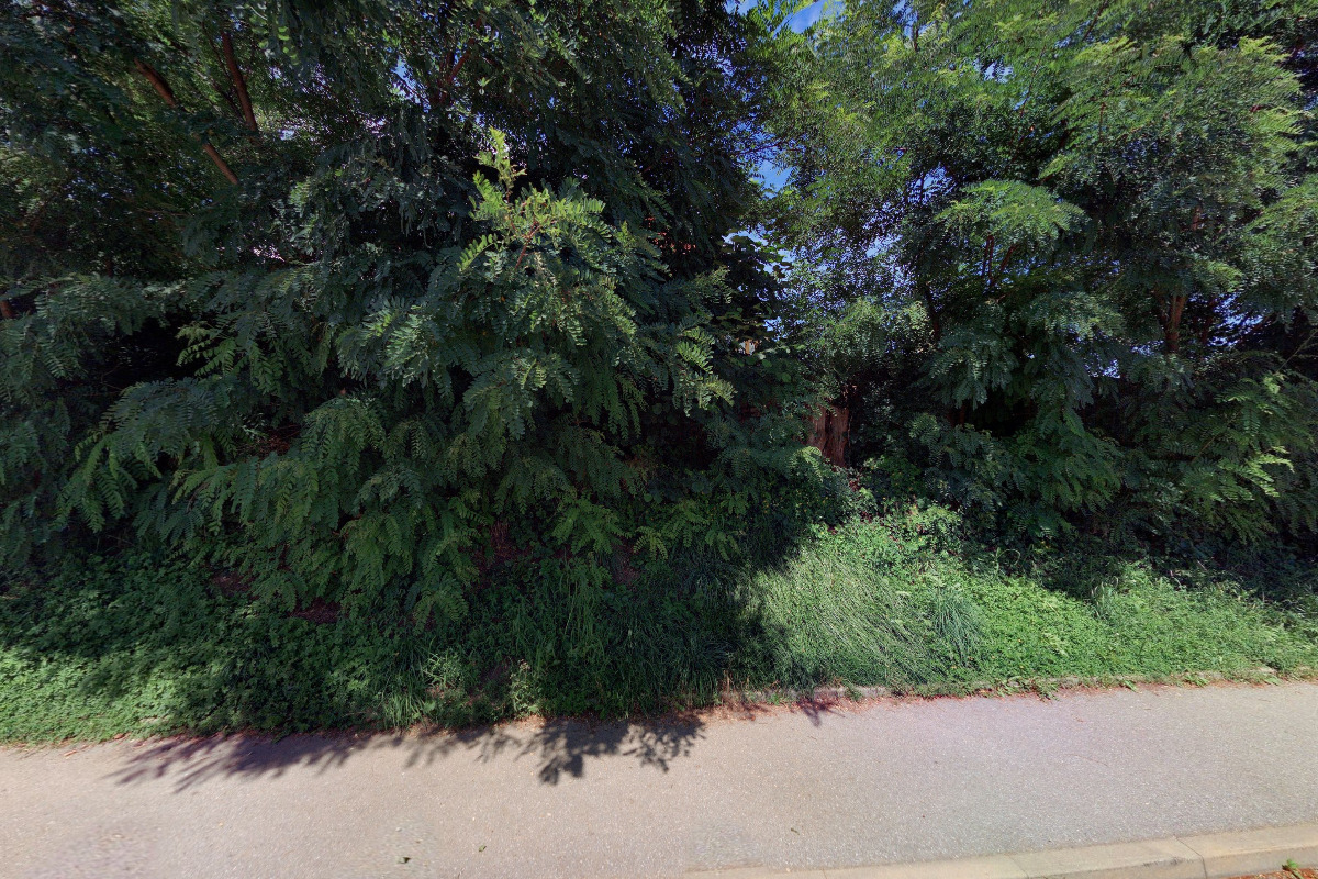 Římskokatolická farnost Boršov nad Vltavou foto 2