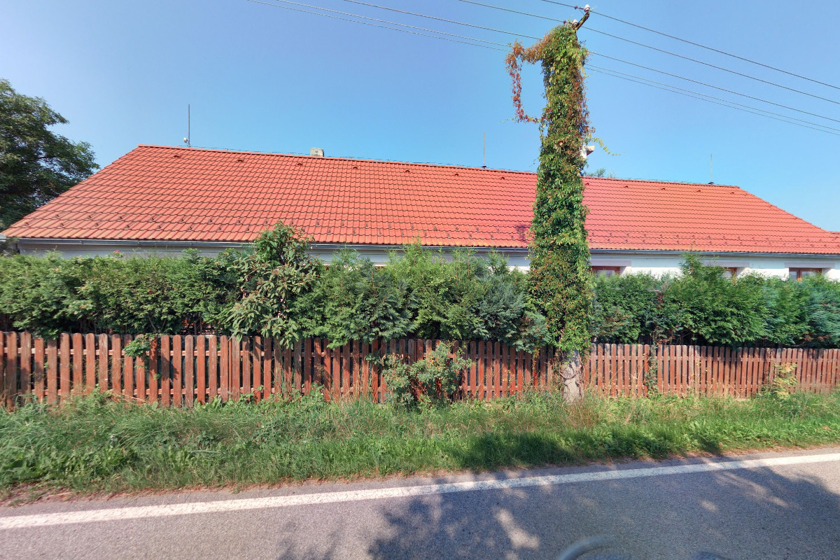 Pěstební práce Jana Jungová foto 2