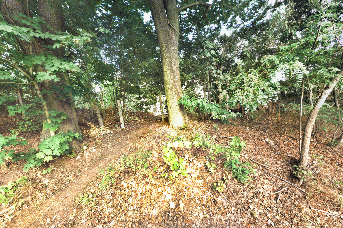 Taxi - Aladár Ondráček foto 5